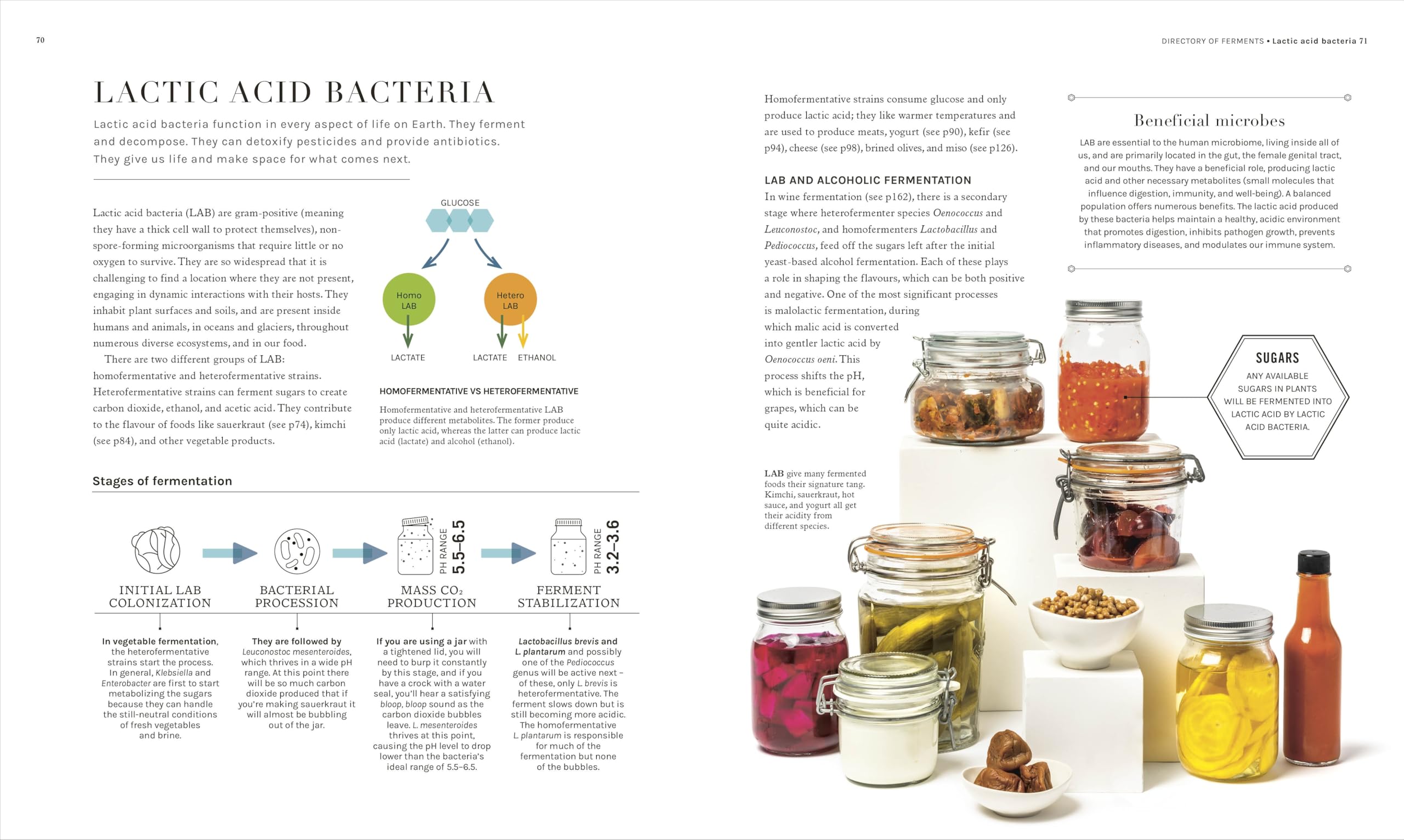 The Science of Fermentation: Explore the Fascinating Alchemy of Fermented Food and Drink (The Science of Food)