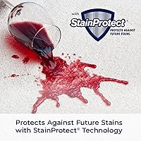 Vista 6 de Bissell Professional Spot and Stain + Oxy Fórmula limpiadora de manchas, portátil, para máquina, 32 onzas líquidas, unidad