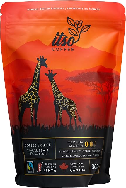 Haricots entiers de taille moyenne Coffee – Lisse & Arabica équilibrée pour Espresso, Brew froide & Verser – Spécialité fraîche grillée Kenya AA Haricots – 300g sac