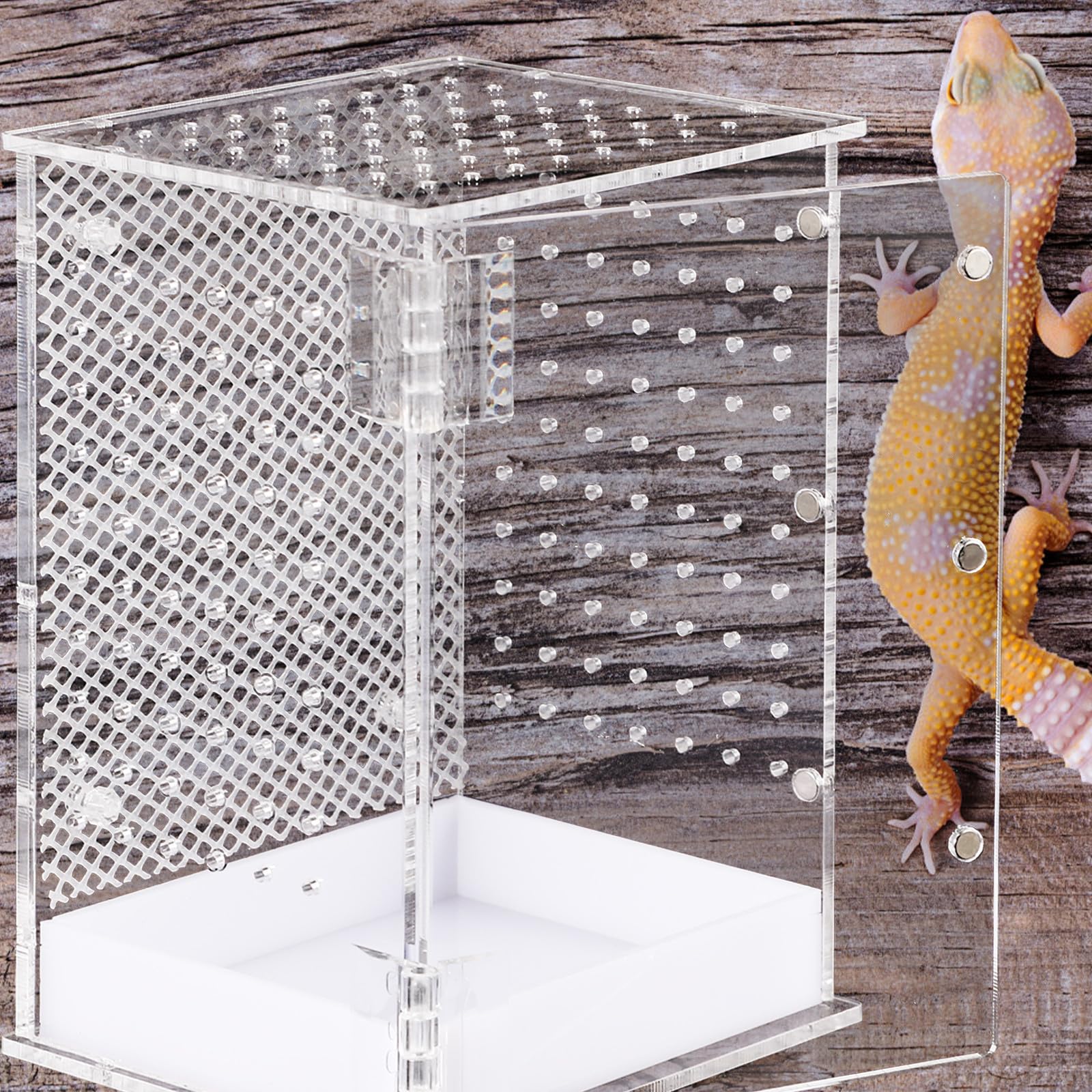 Recinto Acrílico para Reptiles Orificios, Fácil de Observar
