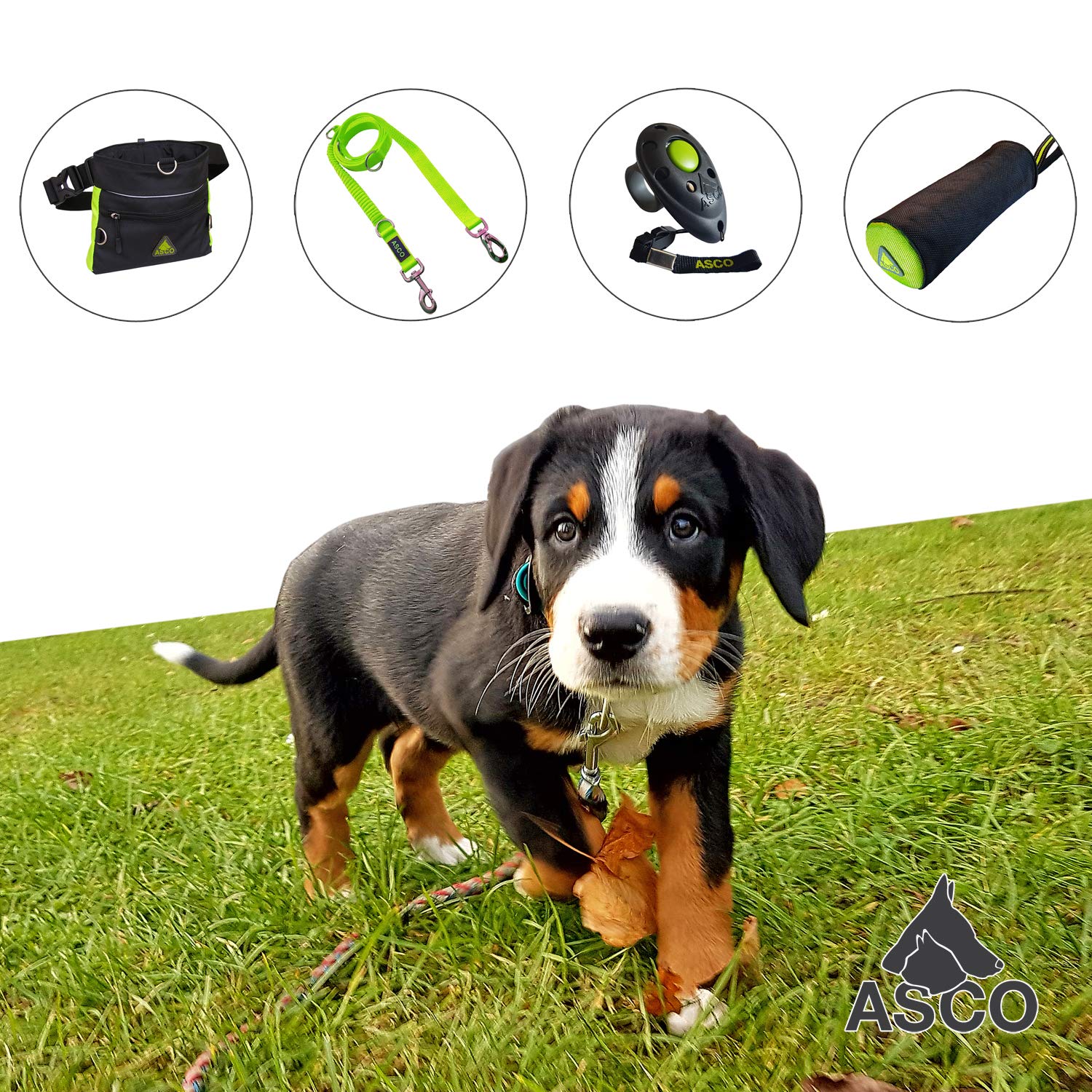 ASCO Treat Bag, Dog Horse Training Treat Pouch with One Hand Opening