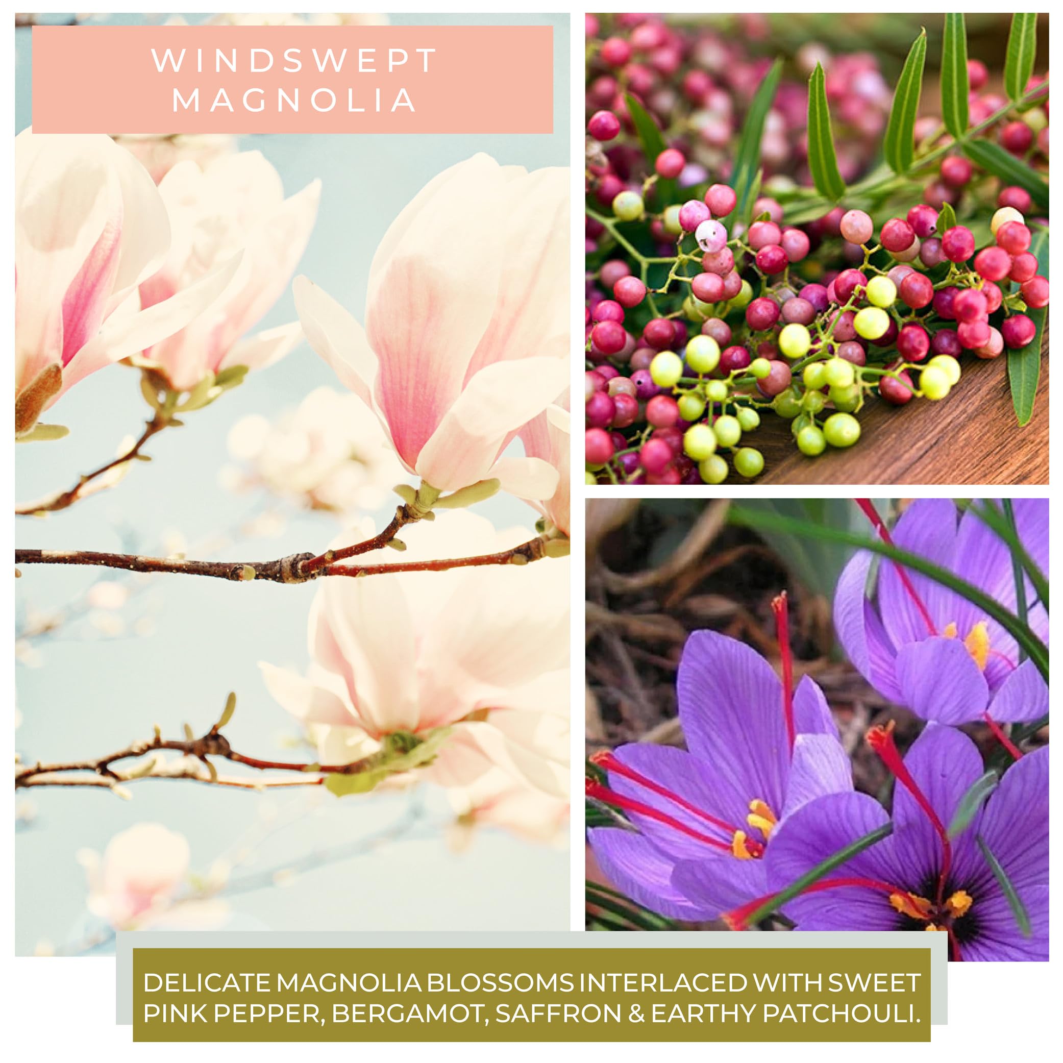 A Cheerful Giver - Windswept Magnolia - Candela profumata Papa in barattolo con coperchio - Custodi della luce - 155 ore di combustione, regalo per la festa della mamma, candele profumate primaverili