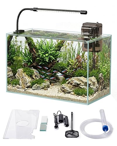 Glass Fish Tank Kit, 5 Gallon Betta Fish Tank Aquarium
