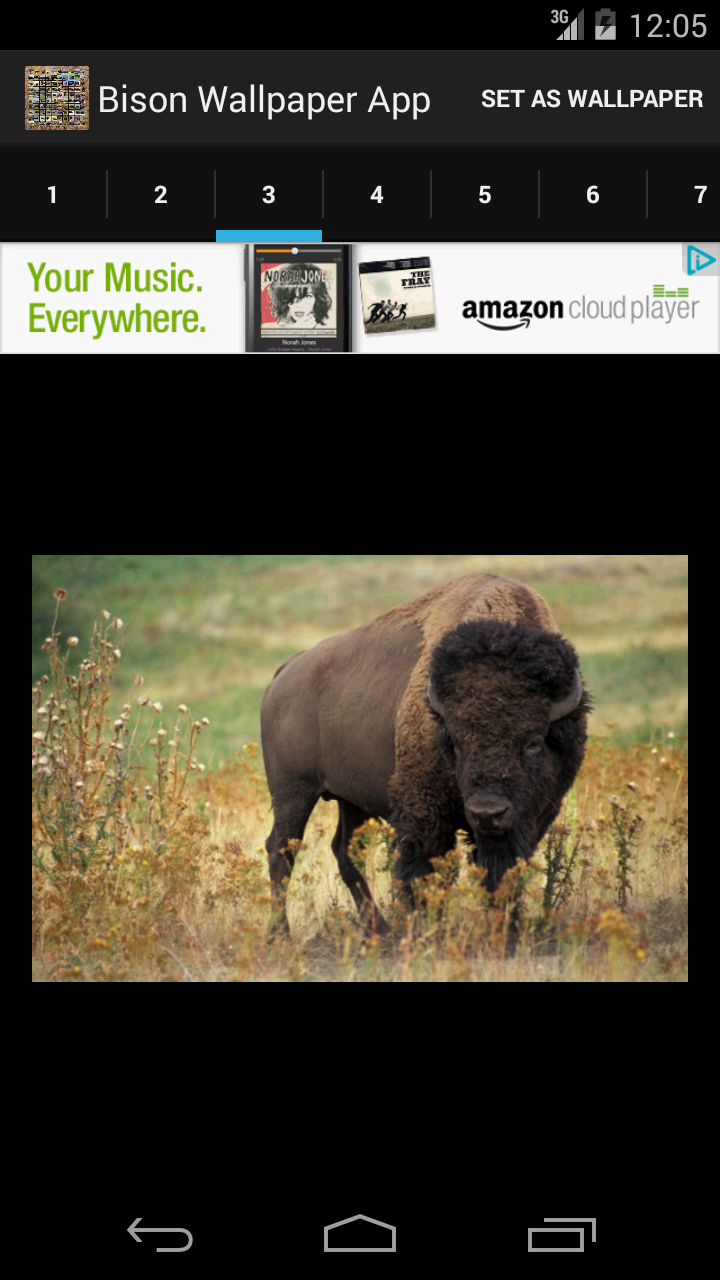 Bison Wallpaper App - Application sur Amazon Appstore
