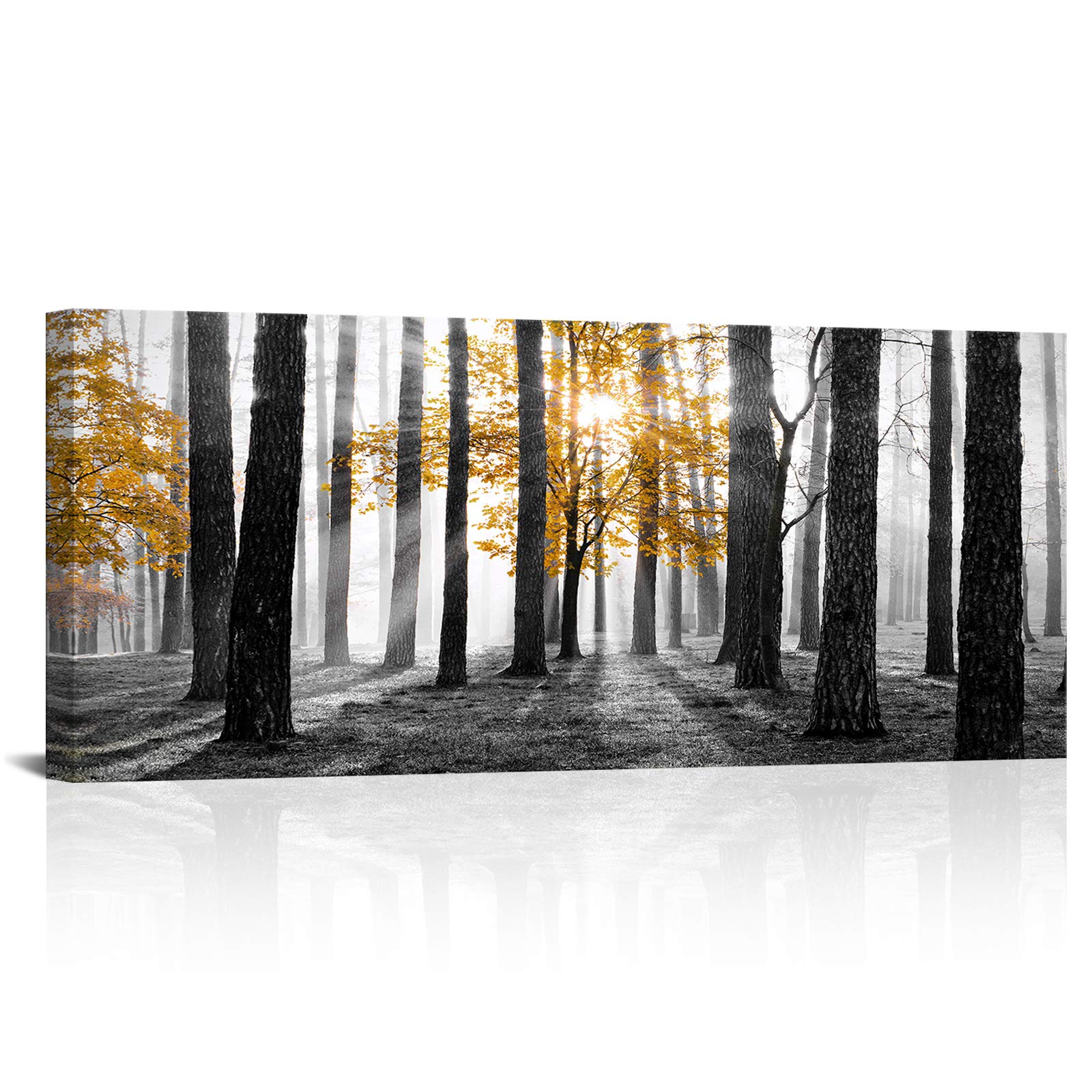 Kalormore Nature Canvas Wall Art Yellow Tree Sunshine Forest Picture Prints Wall Decor Black and White Autumn Foggy Forest Trees Artwork for Living Room Bedroom Decoration
