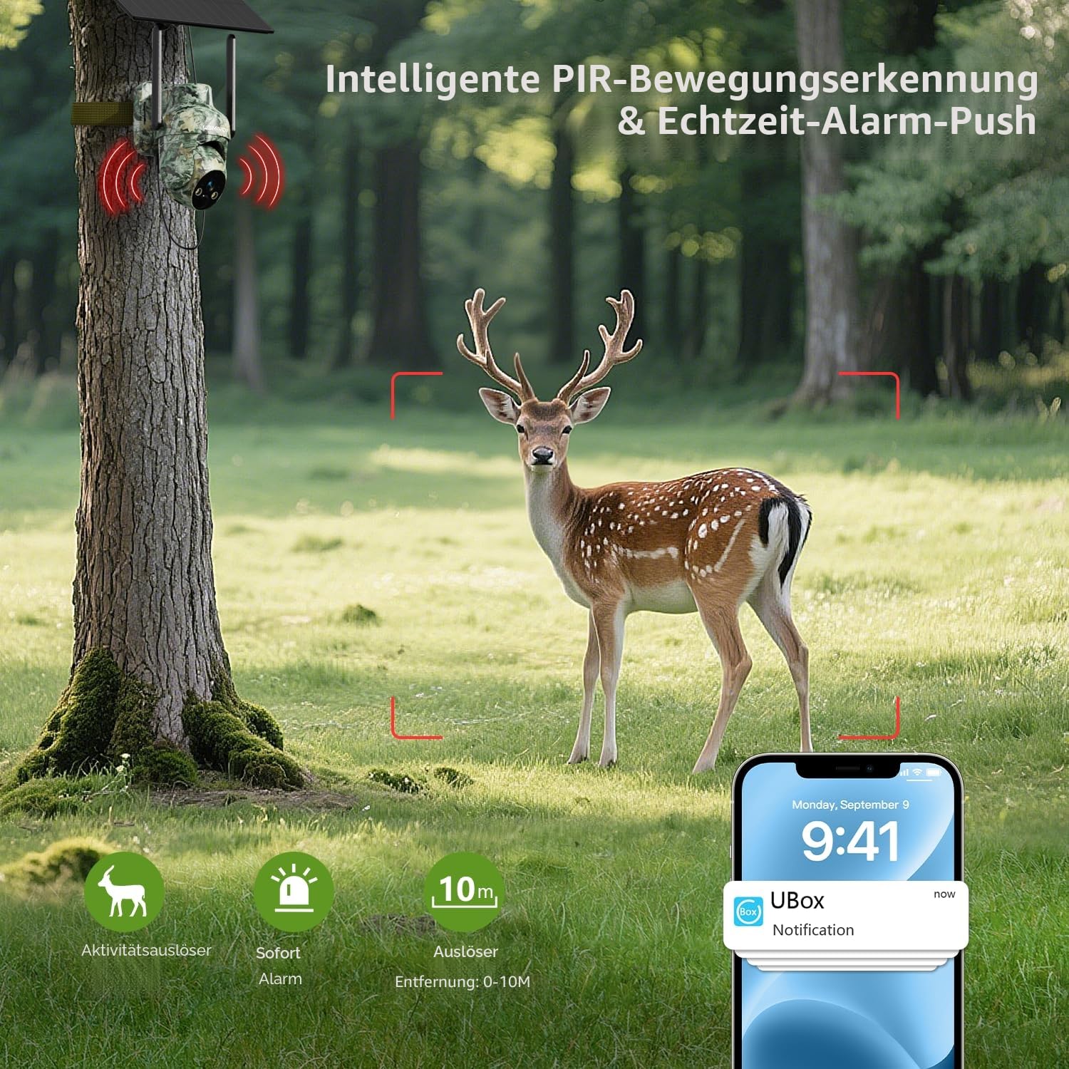 Lemnoi 4G Solar Wildkamera mit SIM Karte, 2K-Auflösung, IP66 Wasserdicht