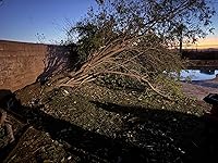 Review Image by Frank the Tank Frank the Tank