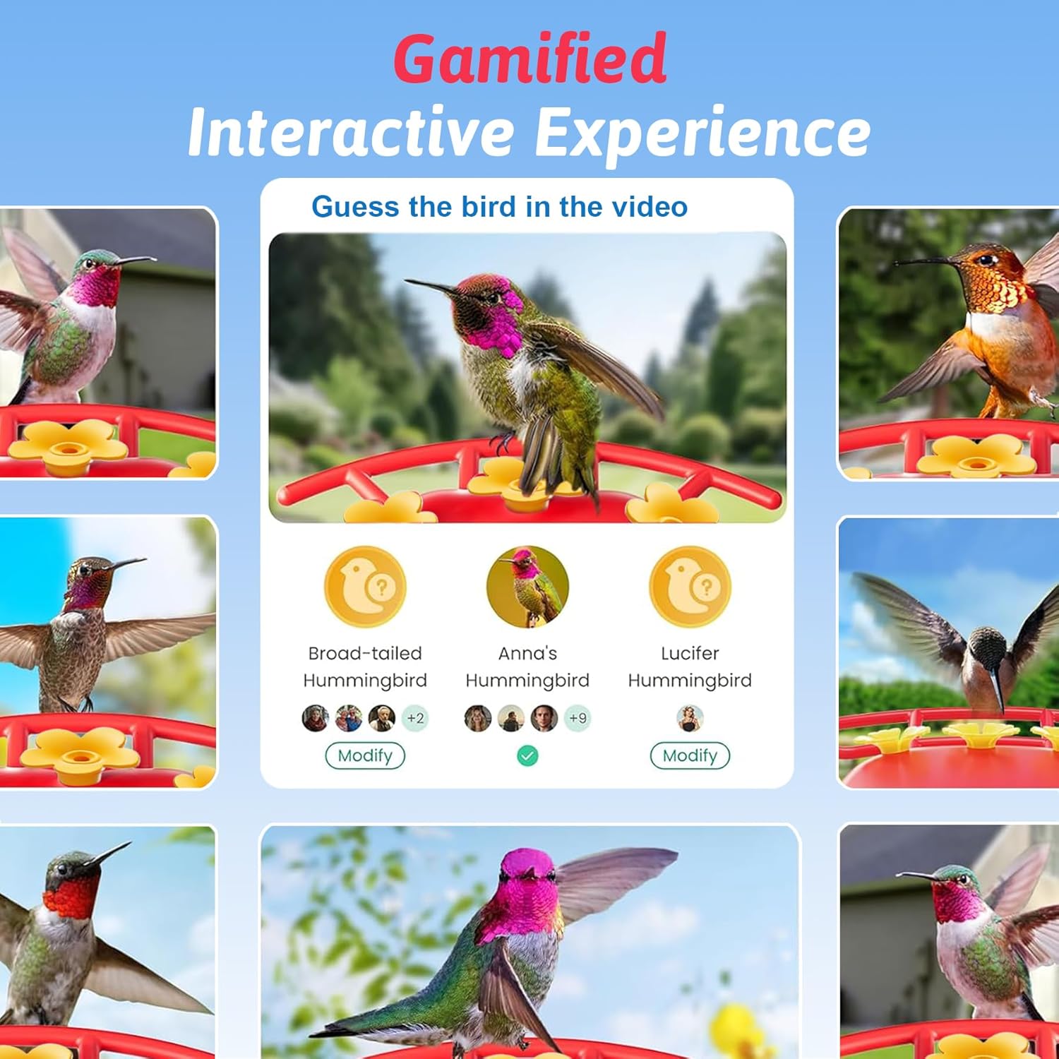 Solar Powered Professional Hummingbird Feeder with Camera - AI Bird Identification, 2K Video, Outdoor Hanging, Bird Watching Gift - Image 5