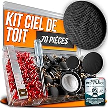70 Piece Black Roof Roof Roof Repair Kit - Fabric Interior Car Tacks + Tools Included - Staples + Screwdriver + Tape - Complete Solution for Sagging Car Ceiling