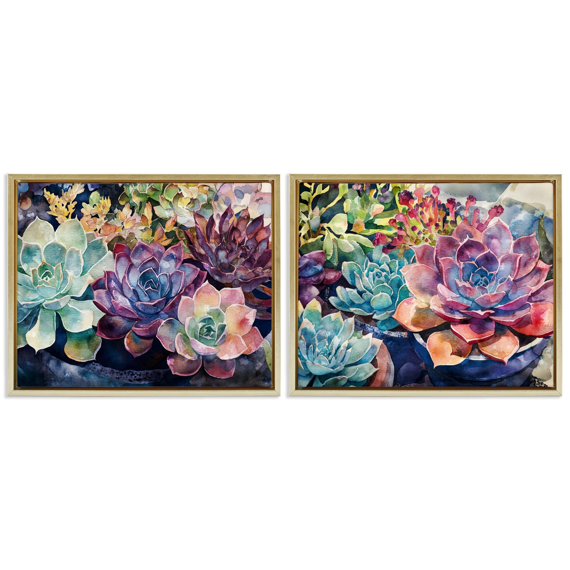 Sunny Watercolor Succulents, 24 x 30 Inch Canvas in Floater Frame Set