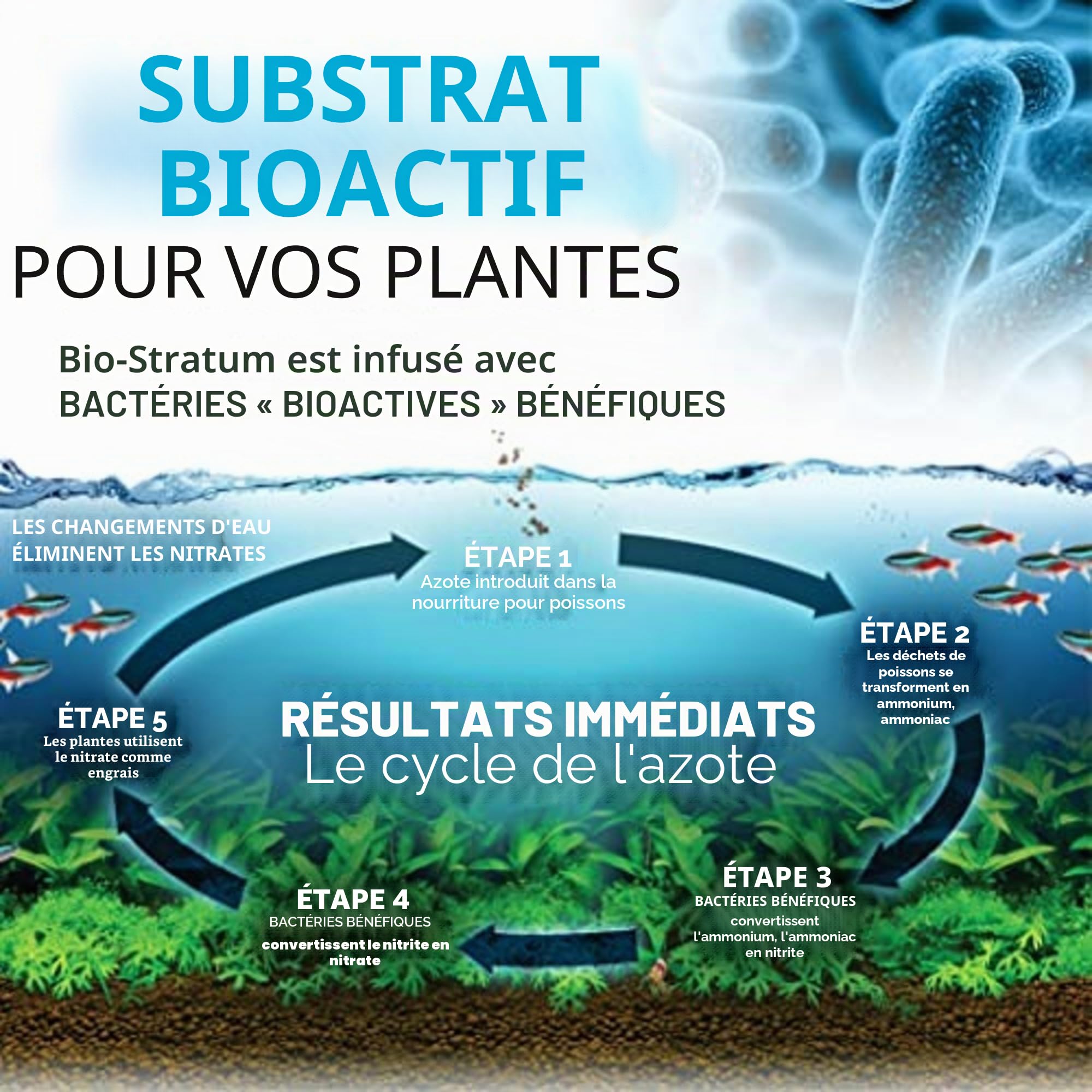 Fluval Bio Stratum Substrat volcanique pour Aquarium planté, 2 kg