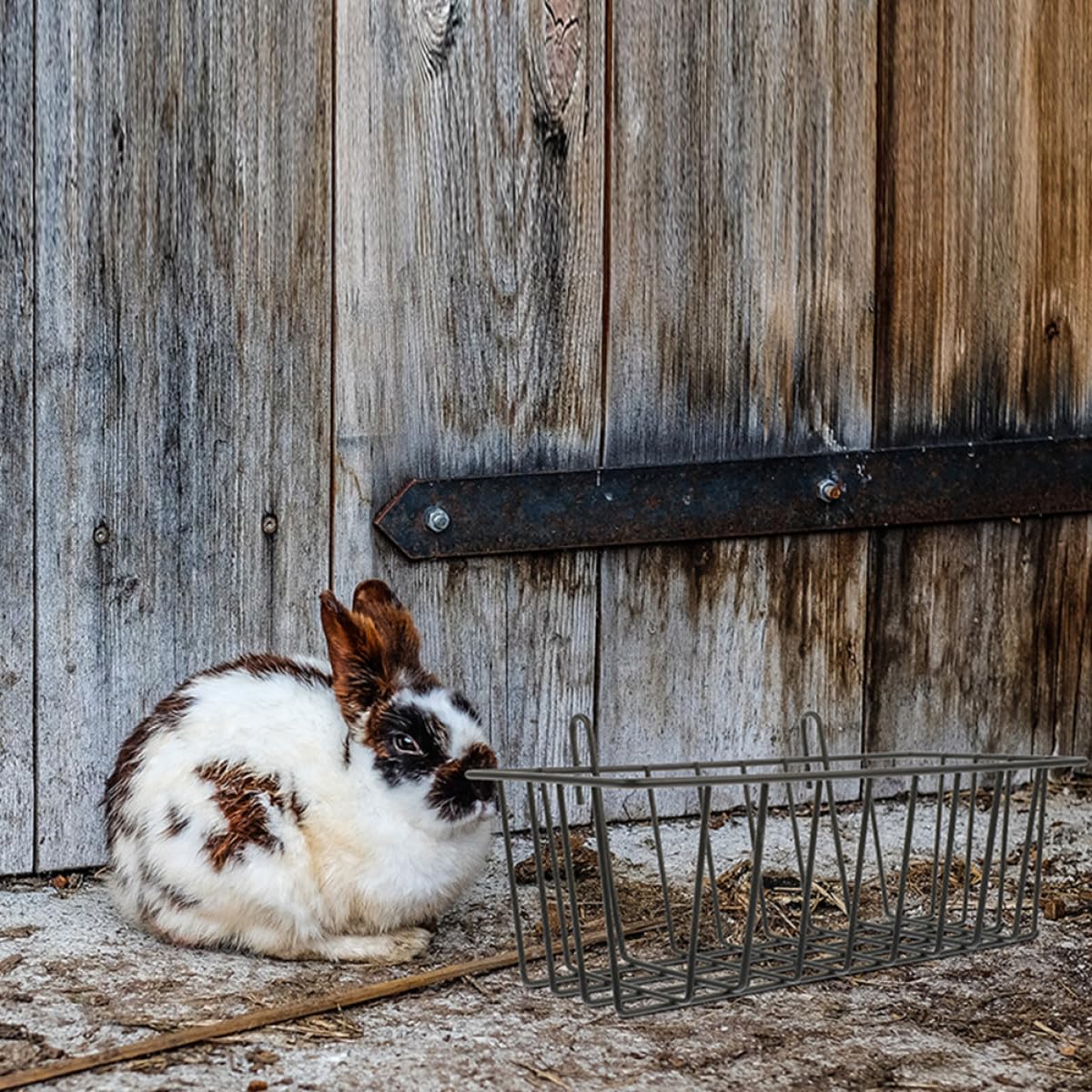 Homoyoyo Soporte de Hierro para Comedero de Conejos Juego de 4 Unidades para Jaulas de Animales Pequeños
