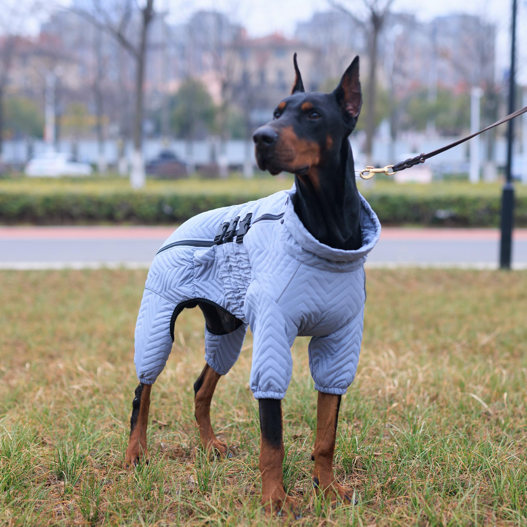 Abrigo cálido para perro, chaleco de doble capa, 4 patas cubiertas, resistente al viento, impermeable, reflectante, chaleco cálido para perro, patinaje al aire libre, disfraz para perros pequeños,