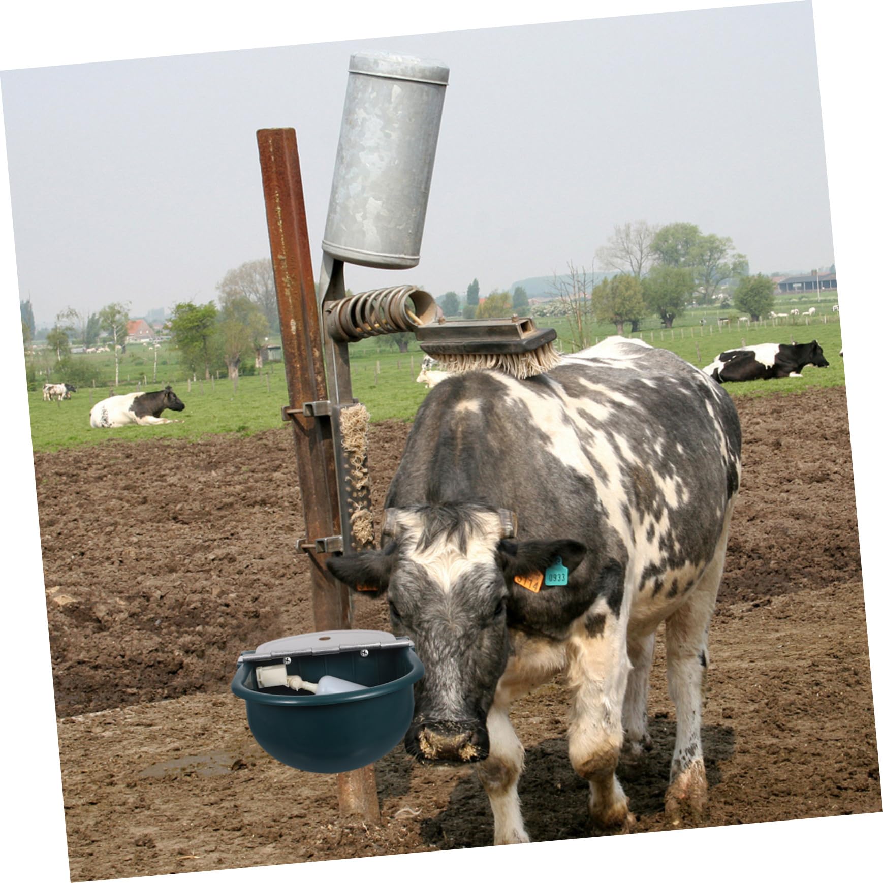 Didiseaon Bebedero Automático para Animales Resistente Plástico para Ovejas Cabras Perros y Ganado con Suministro de Agua para Exteriores y