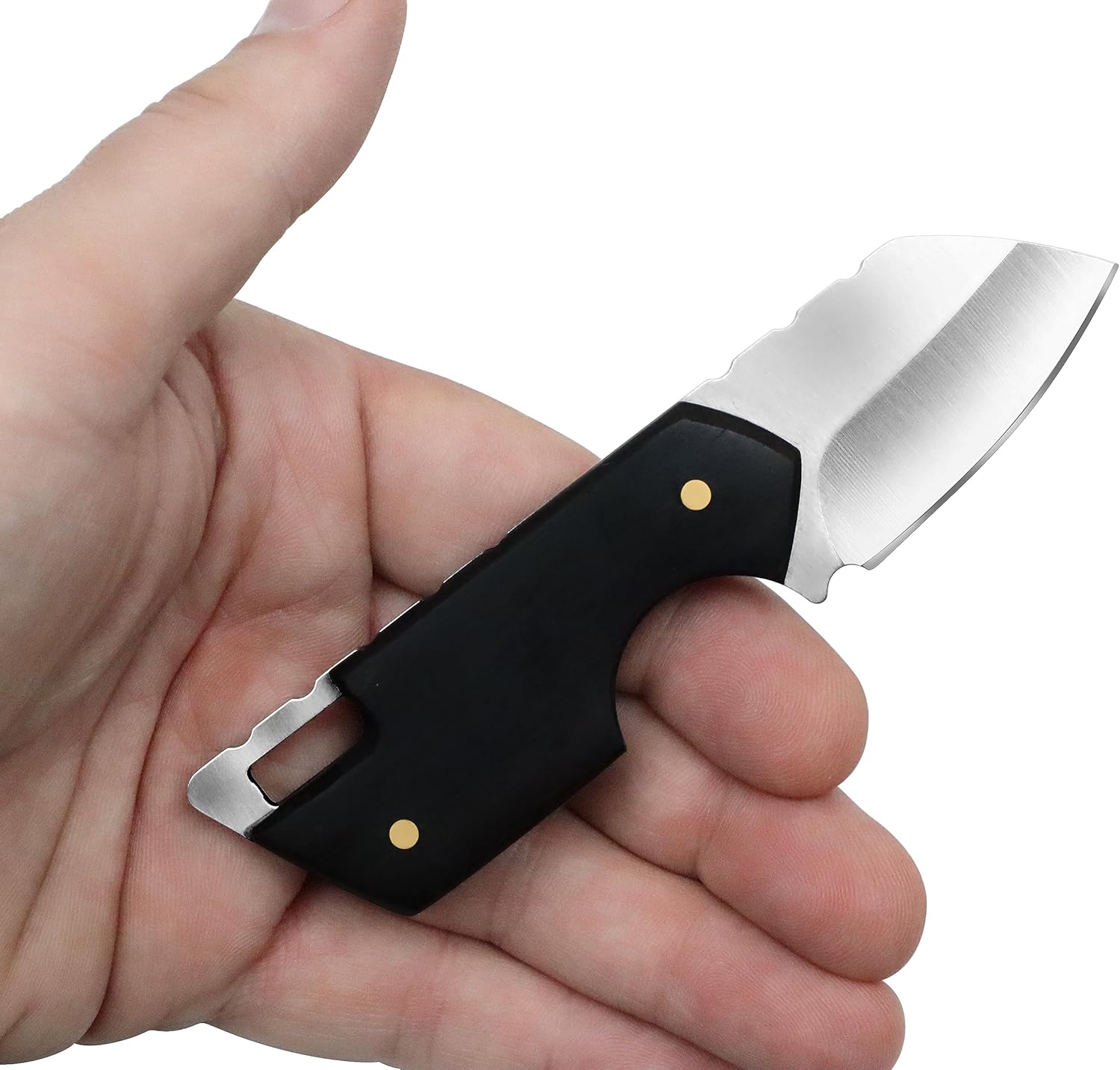 outROAR Gear Stubby Fixed Blade Knife Full Tang with Belt Loop Sheath, Heavy-Duty Tactical, Survival, Camping, Fishing, and Hunting Pocketknife, 2” Length, Wood Grip