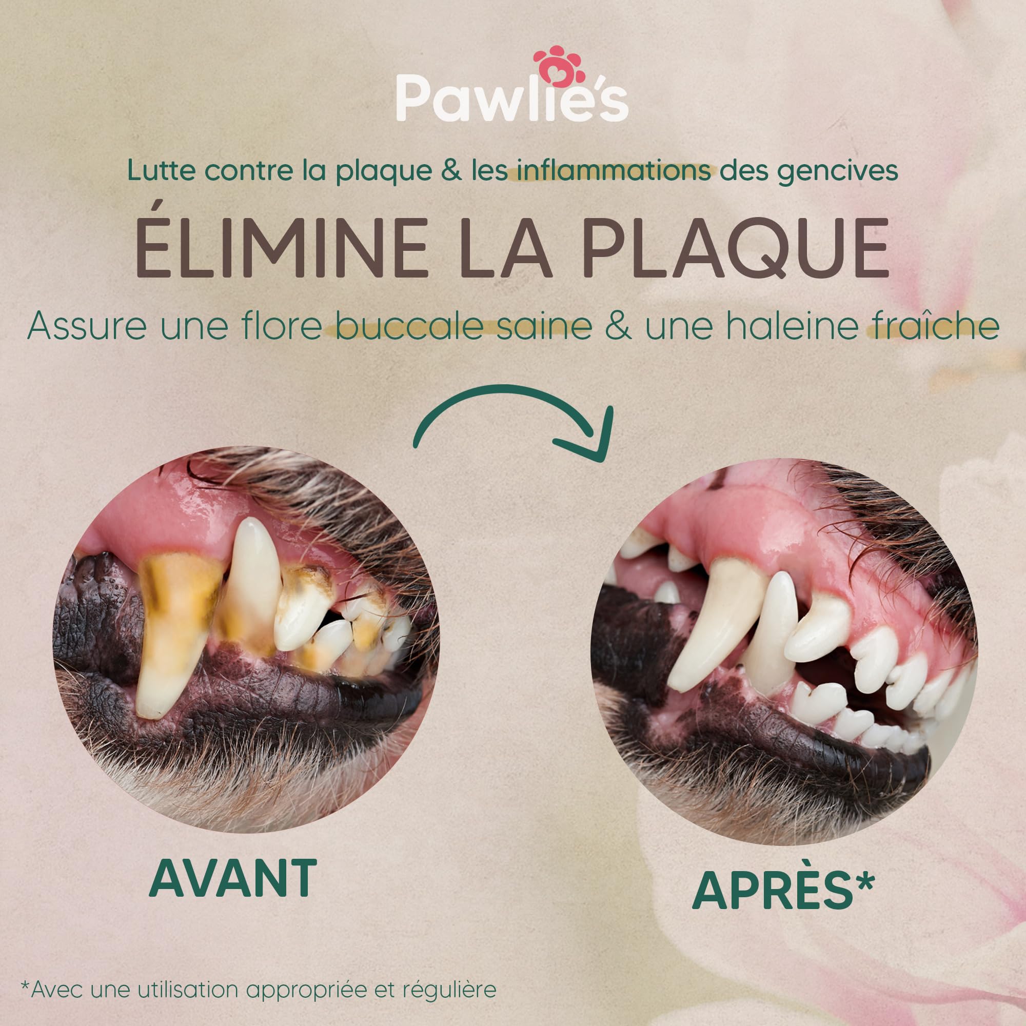 Pawlie's Dentifrice pour Chien - Soin Dentaire Naturel Contre le Tartre, la Mauvaise Haleine et la Gingivite Avec Magnolia et Vitamine E
