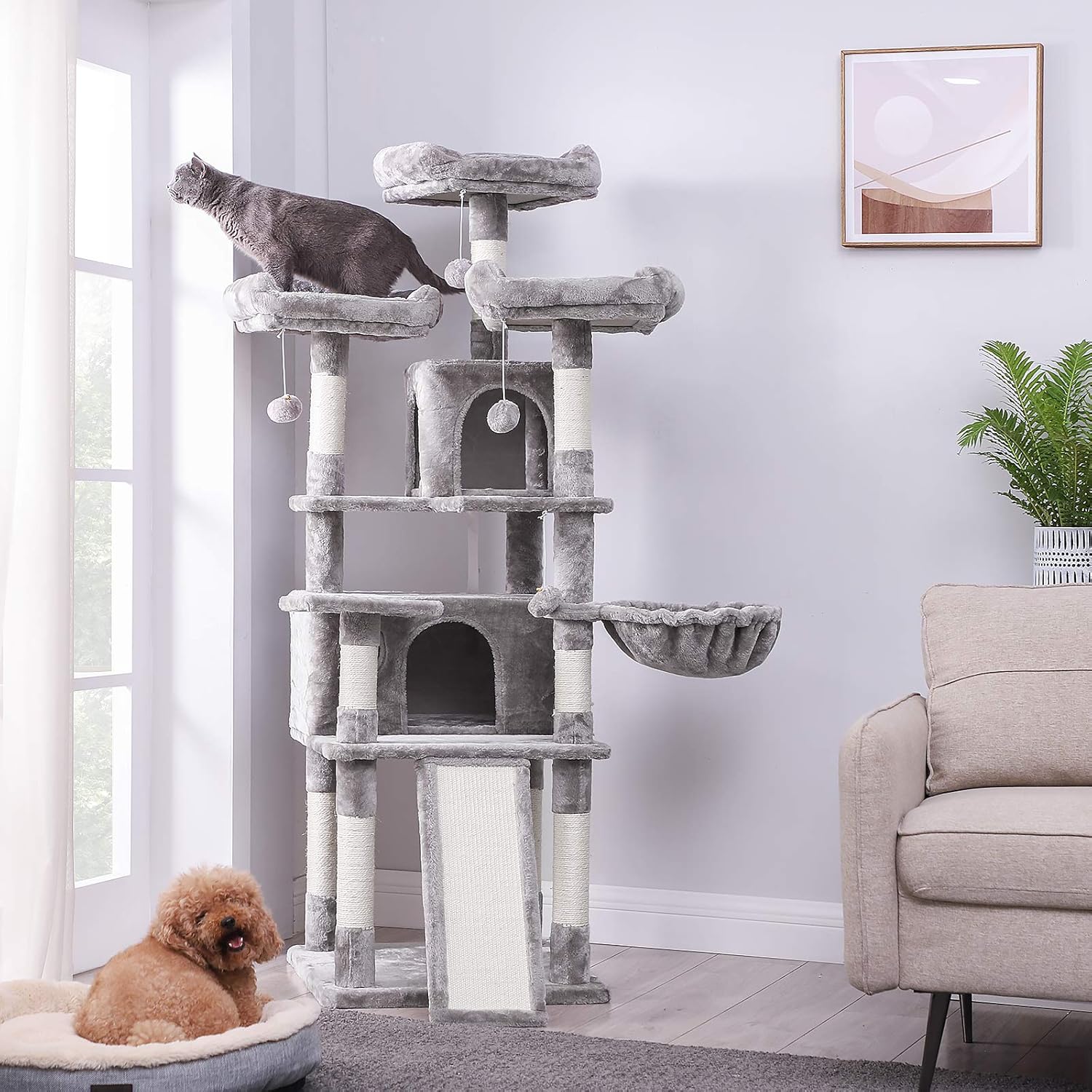 extra large cat perch