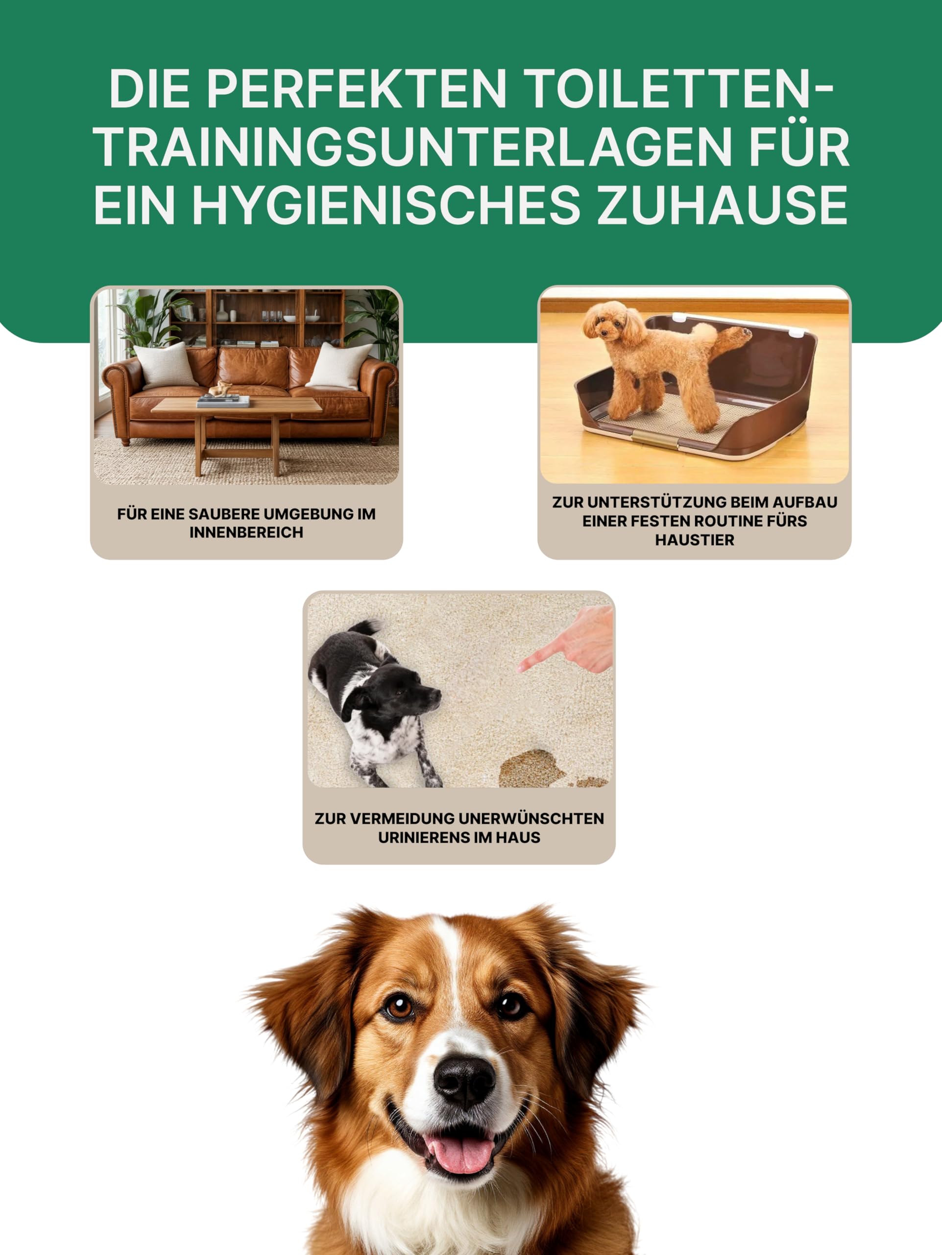 Hundetoilette Trainingspads | Hochsaugfähige Pipi Matten für Hunde | 2-Polymer-Technologie | Geruchsneutralisierend & Rutschfest Welpen Unterlagen | Antibakteriell Puppy Pads | 48Stk
