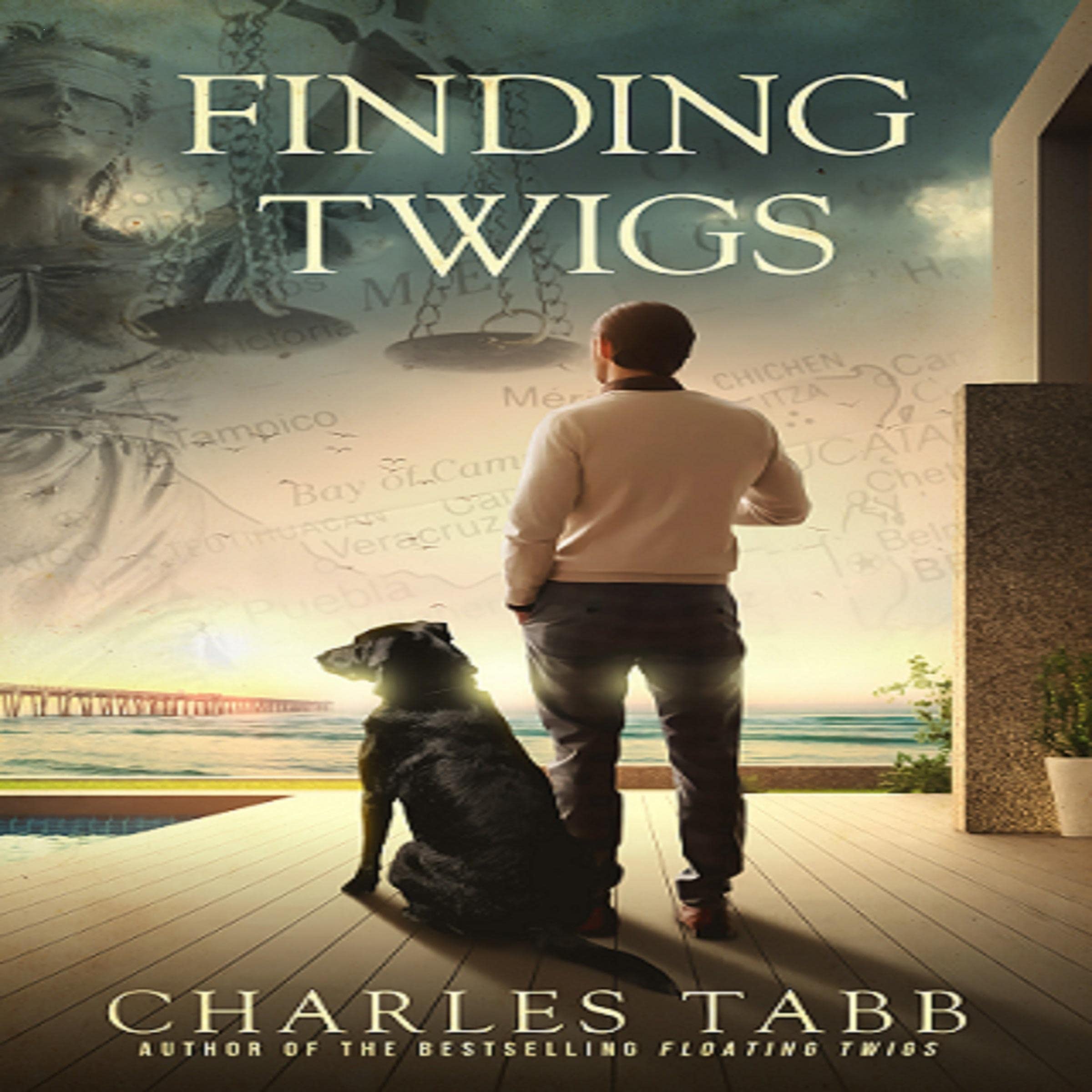 Cover art for Finding Twigs