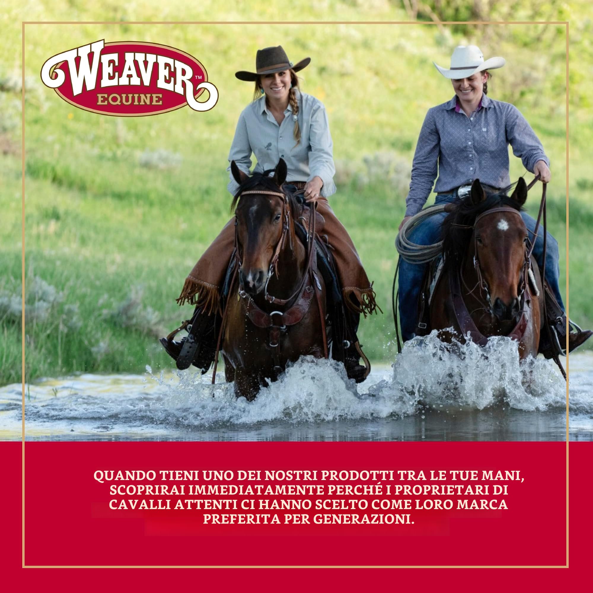 Weaver EquineCinch