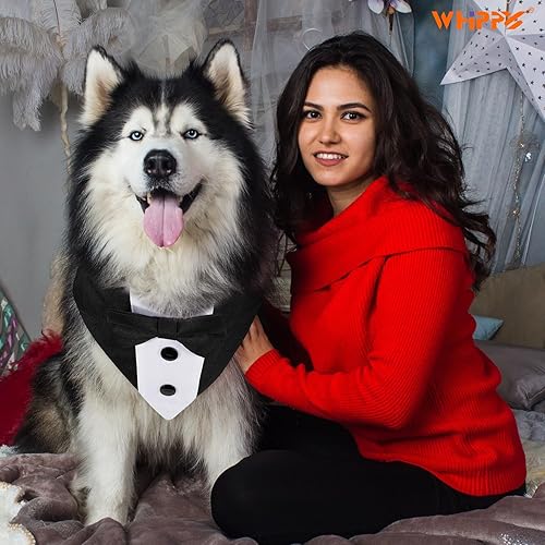 Miniatura 9 de Collar tipo bandana de esmoquin con pajarita para mascotas, disfraz formal de boda, disfraz formal de compromiso, cumpleaños, traje de mascotas para