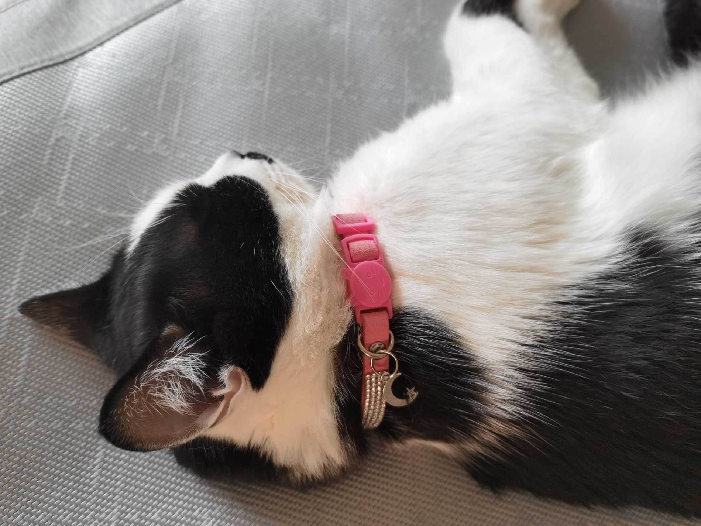 Strass-Katzenhalsband Mit Glöckchen – Verstellbar 20-30 Cm, Sicherheitsschnalle, Samtleder, Herz-Design, Für Kätzchen & Kleine Haustiere