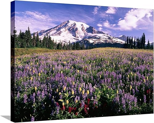 ART.COM Lienzo decorativo para pared, diseño de flores silvestres en el Parque Nacional del Monte Rainier por Stuart Westmorland, decoración de