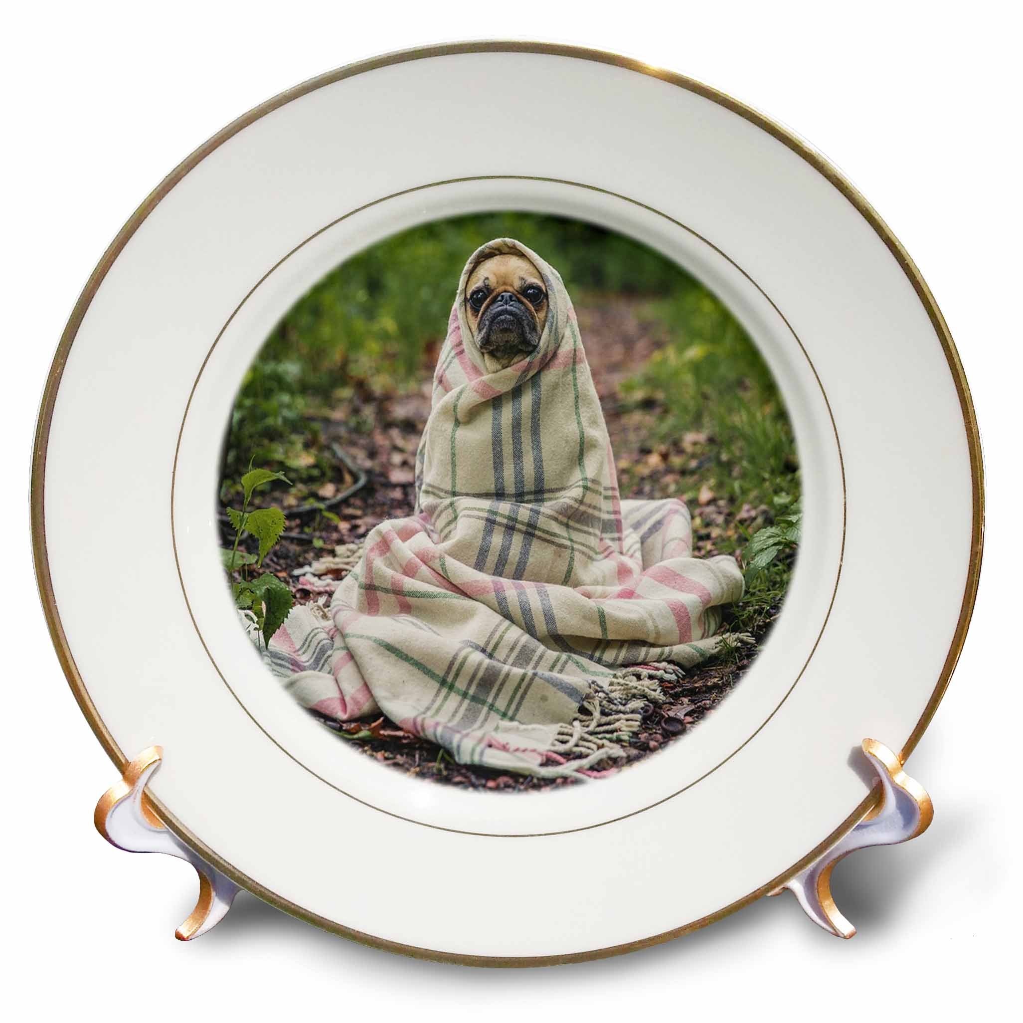 3D Rose Image of Pug Puppy in Plaid Blanket Porcelain Plate, 8"