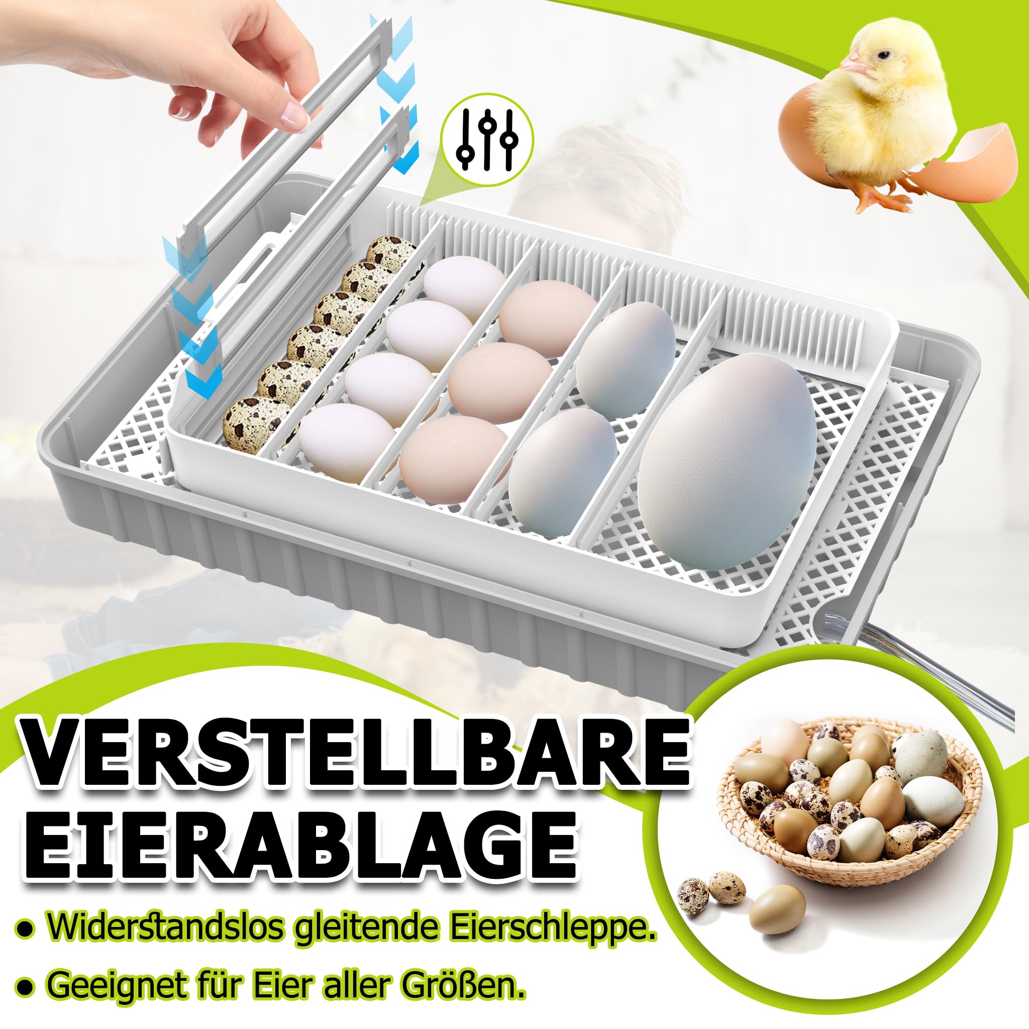 Broedmachine voor Kippen Kopen