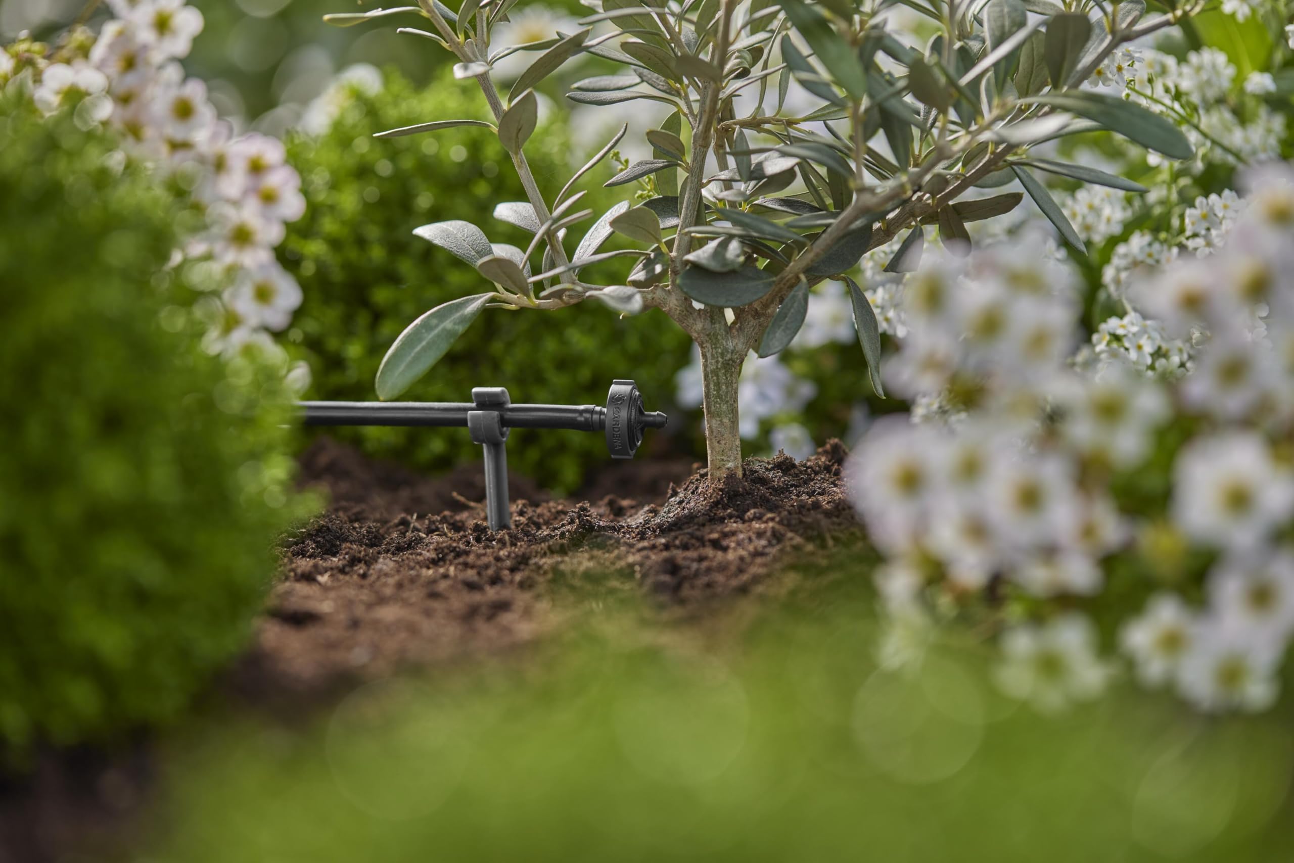 Gardena system Micro-Drip kroplownik rzędowy 2 l/h, regulacja ciśnienia: Kroplownik końcowy do pojedynczych roślin z różną wysokością donicy, stałe podawanie wody przy 0,5 do 4 bar (13302-20)