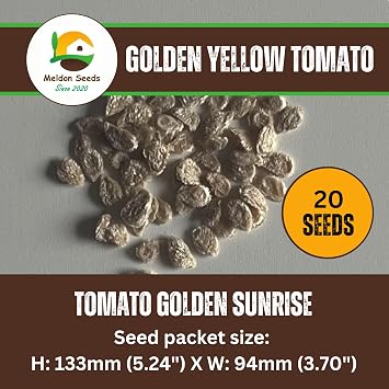 Rainbow Vegetable Seeds Collection. 5 Colourful Vegetable Varieties. Plant and Grow Your Own Vegetables Ideal for Greenhouse, Garden, Polytunnel, Large Pots or Containers by Meldon Seeds