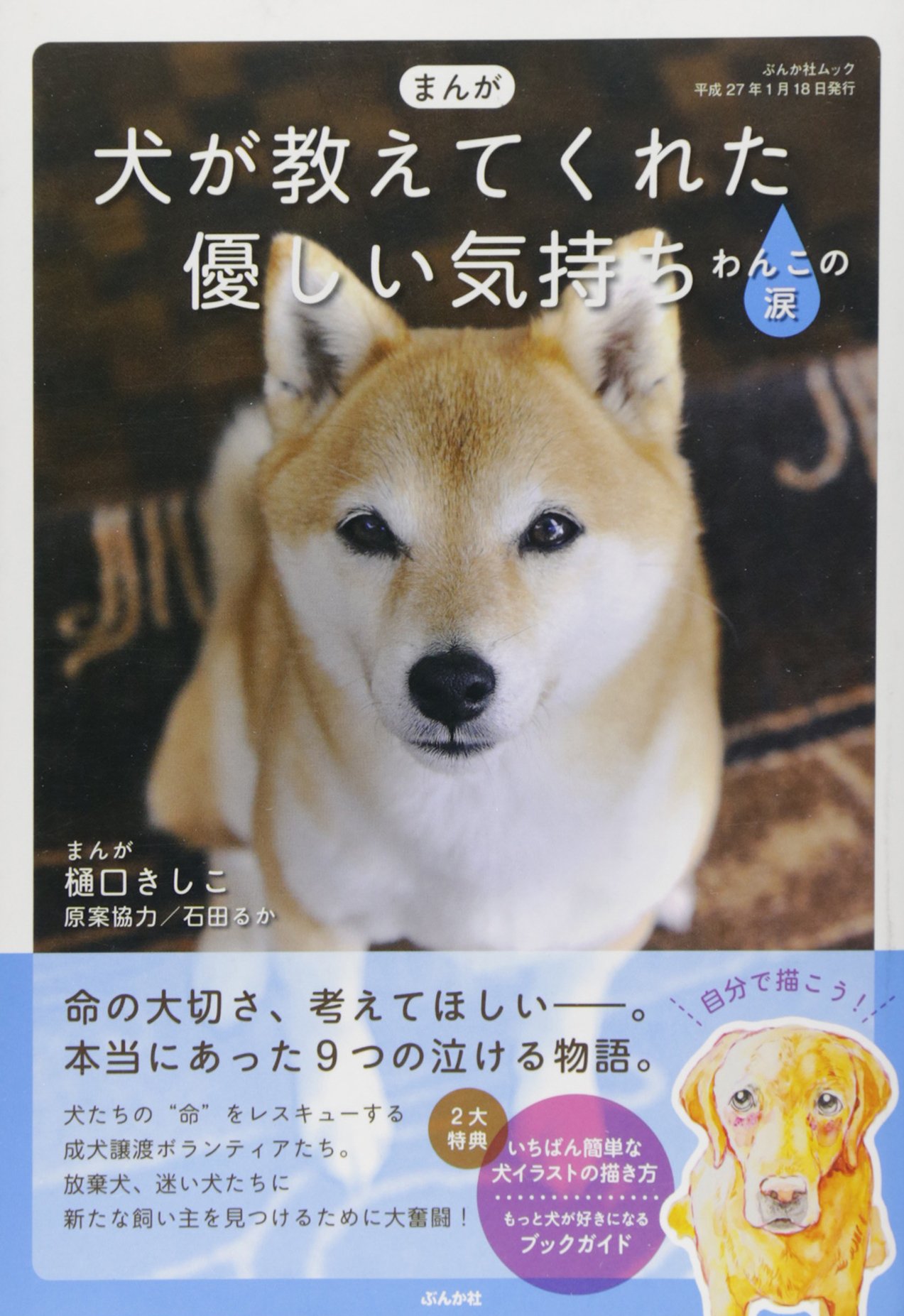 まんが犬が教えてくれた優しい気持ち わんこの涙 ぶんか社ムック 樋口きしこ 本 通販 Amazon