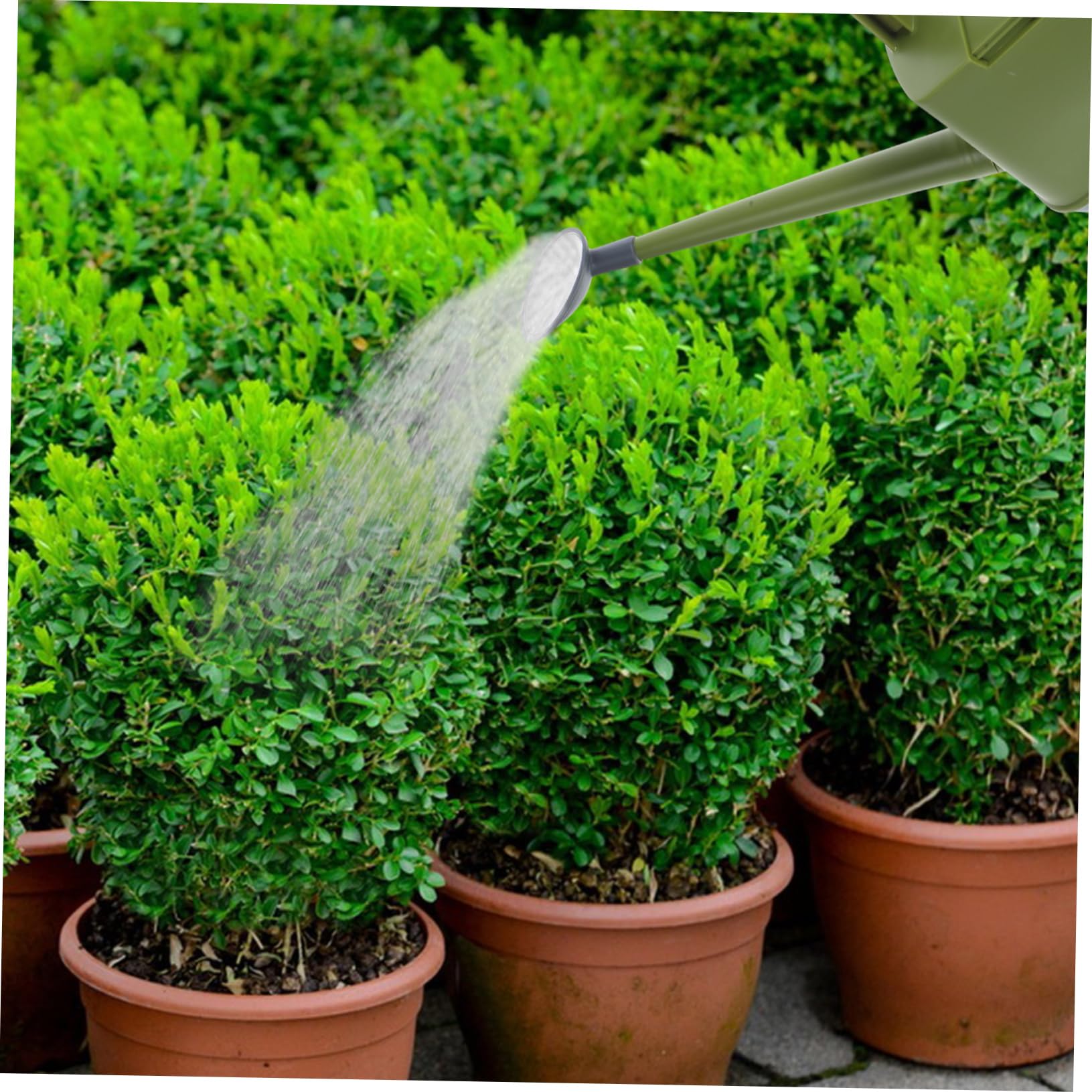 Toddmomy Annaffiatoio Per Piante Da Interno Annaffiatoio Per Fiori Vaso Per Annaffiare Bollitore Per Annaffiare Piante e Fiori Realizzato in Pp Resistente e Bonsai