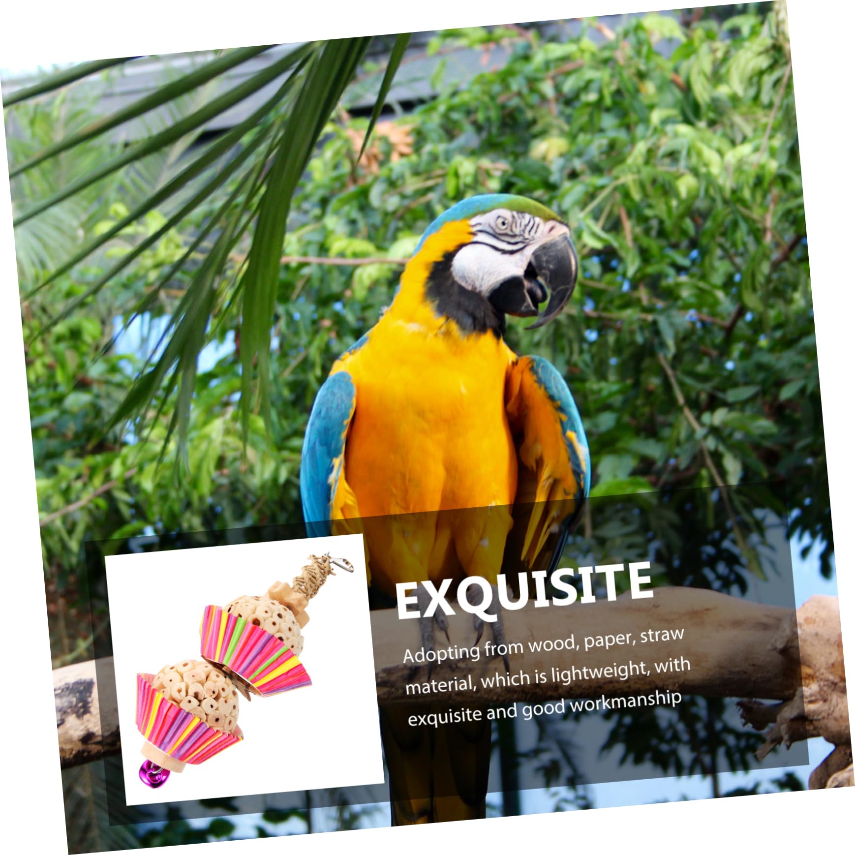 Jouet à Mâcher Suspendu pour Perroquet Accessoire Et pour Petits Oiseaux pour Calopsittes Et Conures Jouet Et Réutilisable pour Amusement Optimal