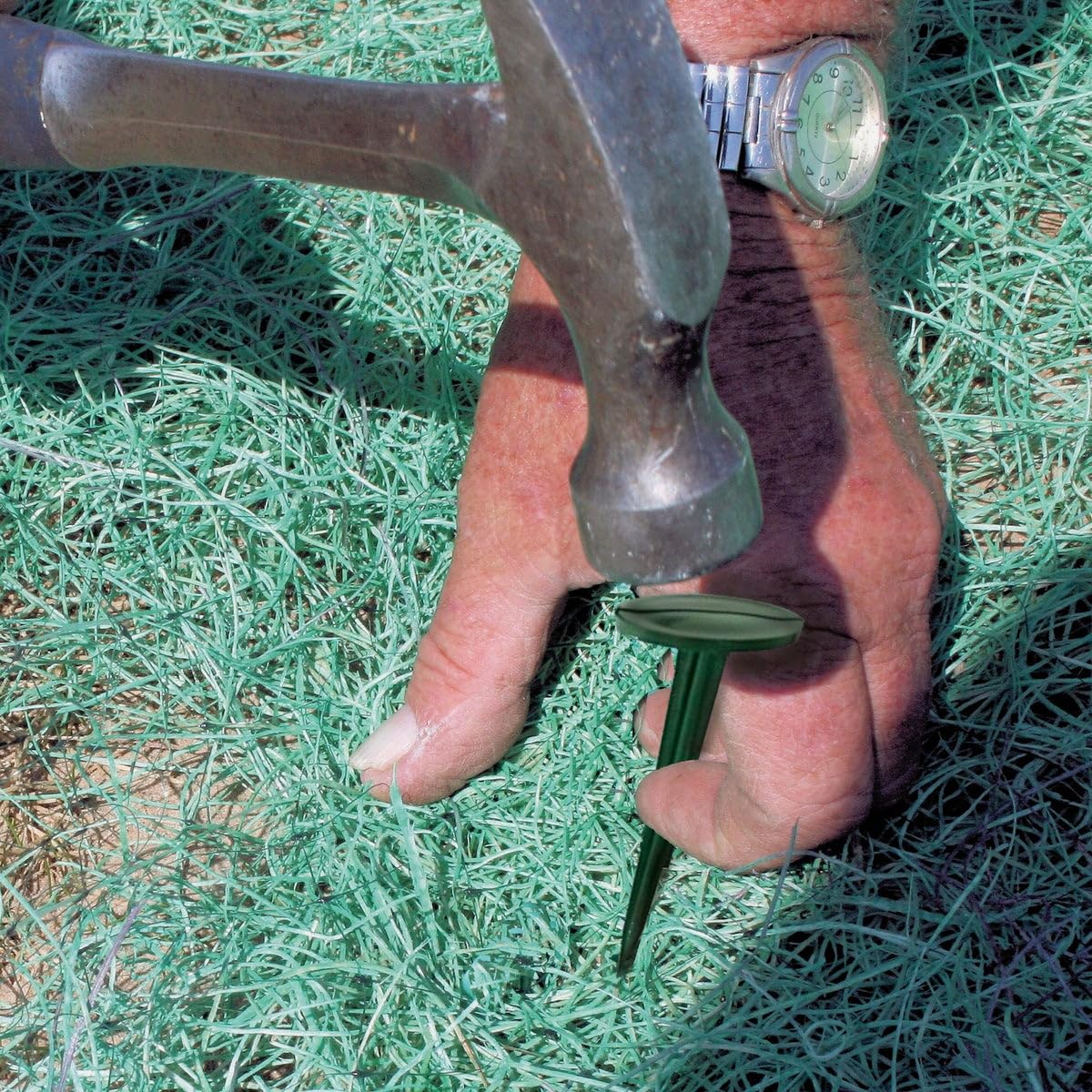 DeWitt Company Fabric Pins, Green