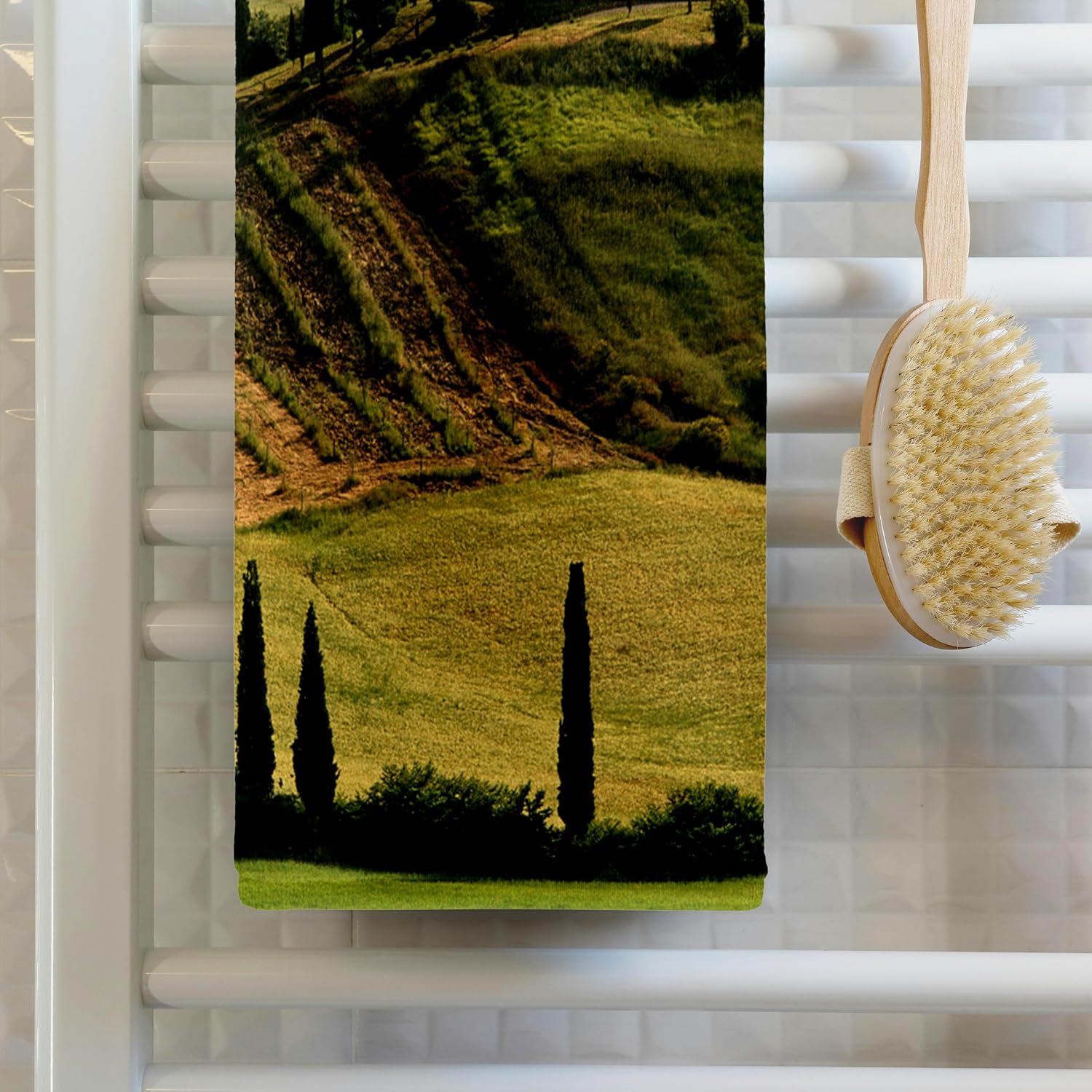 3dRose Italy, Tuscany, Valdorcia, Farmhouse at San Quirico dOrcia 22x30 Bath Hand Pool Towel