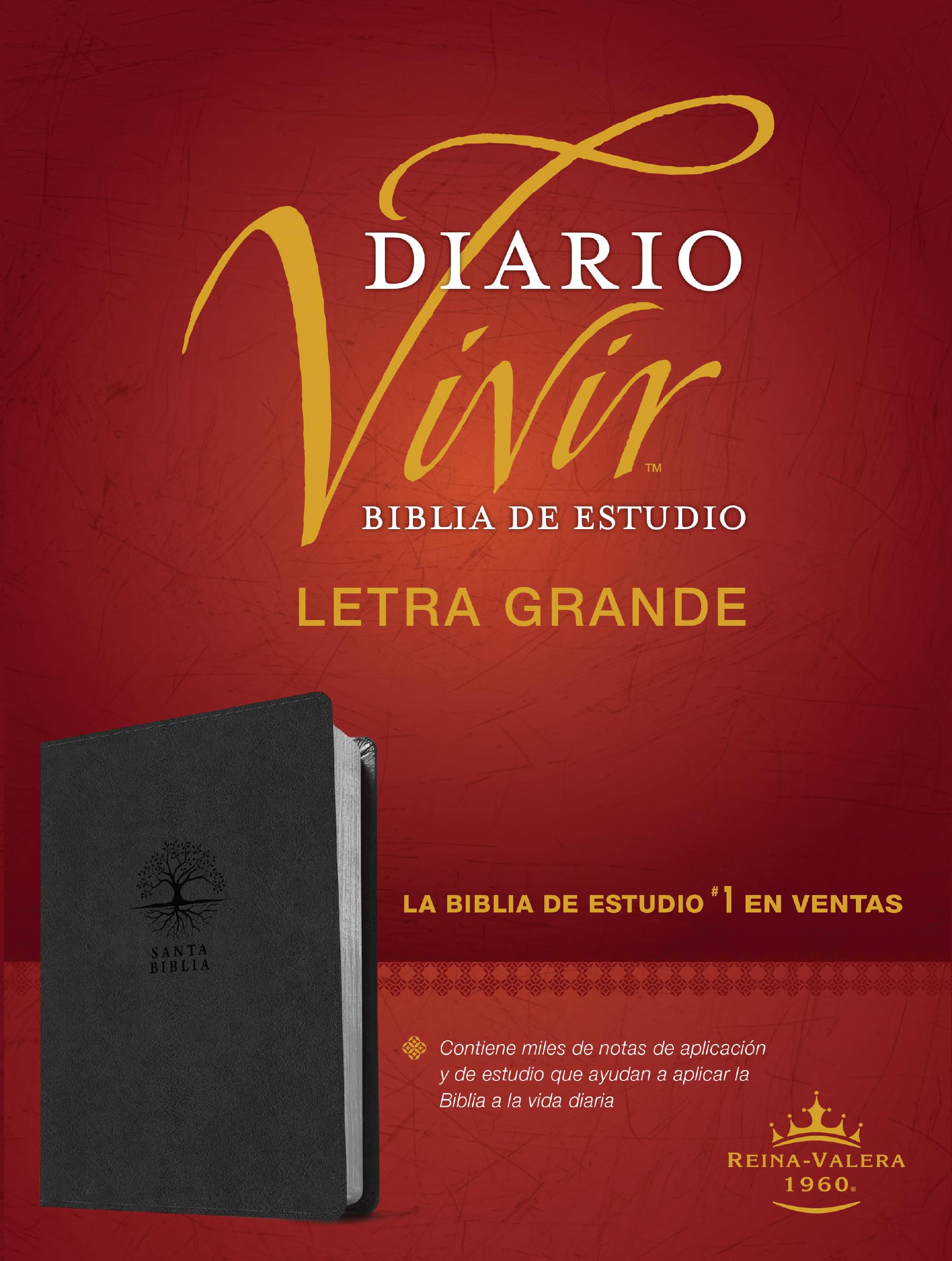Biblia de Estudio del Diario Vivir Rvr60, Letra Grande (Sentipiel, Carbon, Letra Roja): Reina-Valera 1960, Biblia de estudio del diario vivir, carbón, SentiPiel, letra roja