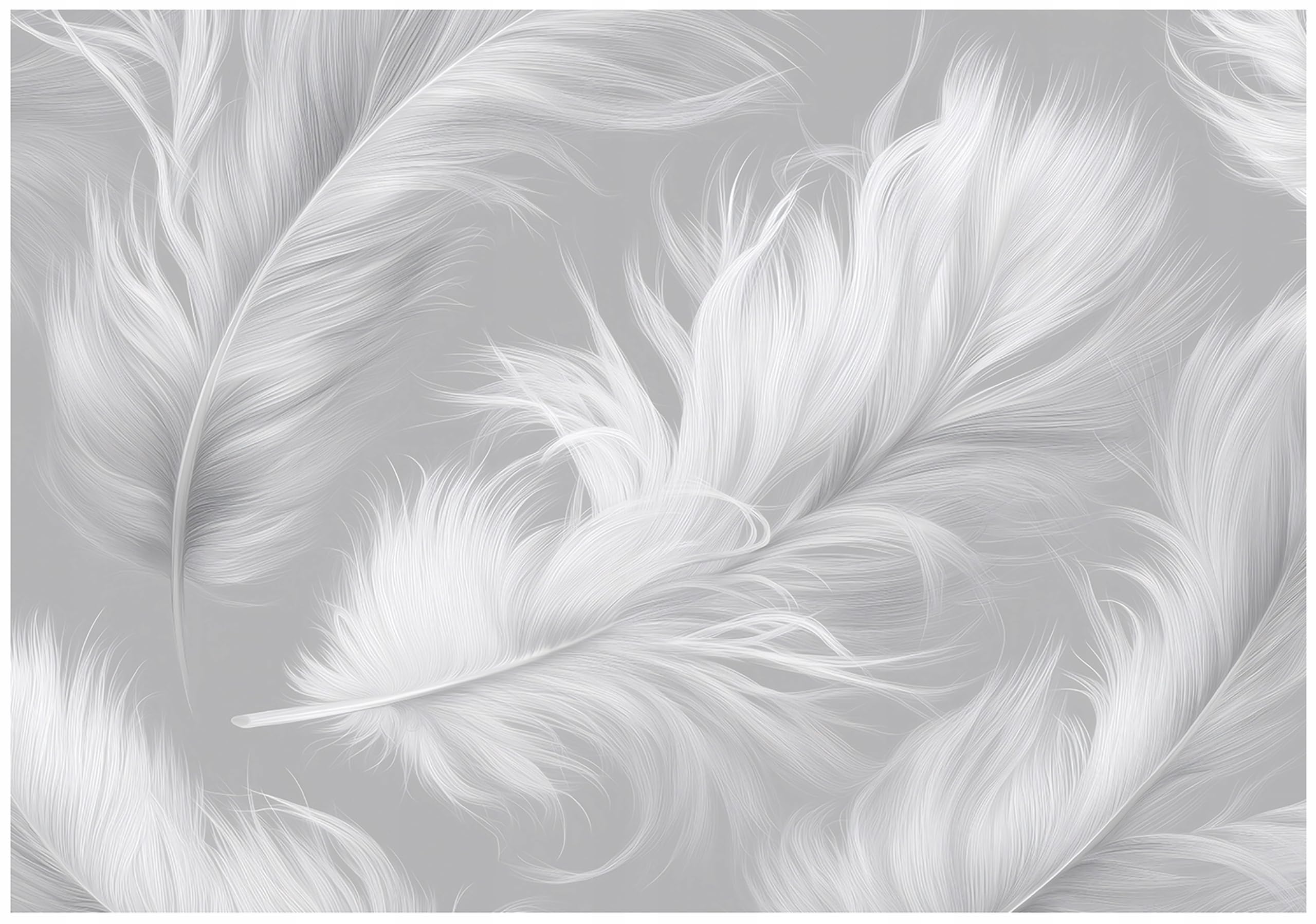 WallArena Vlies Fototapete, Federn, 300x210cm | Fototapeten - Tapeten - für Wohnzimmer Schlafzimmer - Vliestapete Wandtapete Tapete 3D Effekt- inkl. Kleister