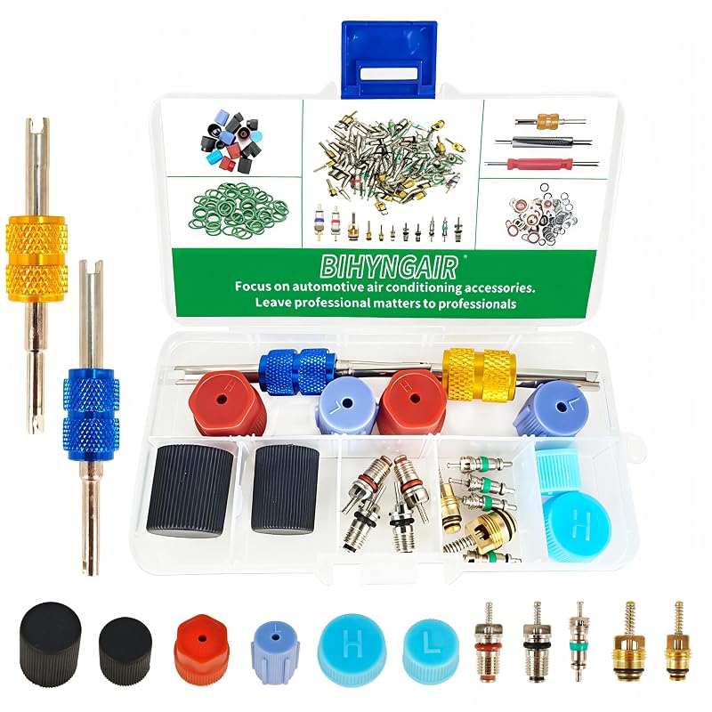 Kit de Núcleos de Válvula e Tampas para Ar-Condicionado R12 e R134a BIHYNGAIR com Extrator, 19 peças