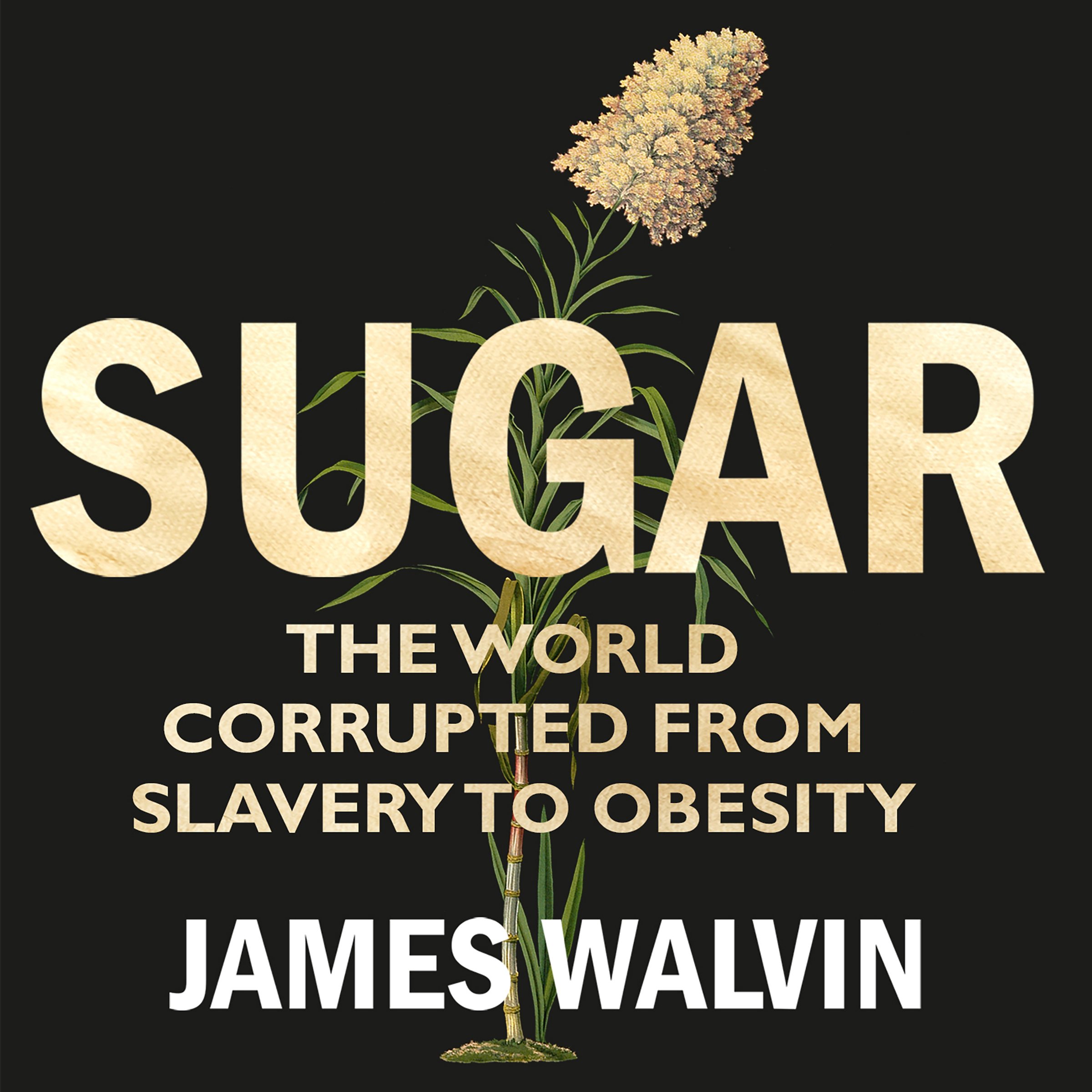 Cover art for Sugar