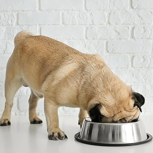 Miniatura 3 de SPOT by Ethical Products - Tazón para mascotas sin punta para gatos, perros pequeños, perros grandes, clásico, duradero, antideslizante, plato para