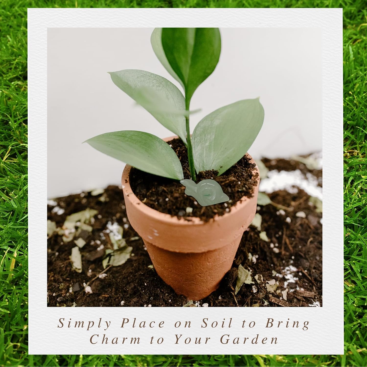 Mini Moss Agate Cactus Snail–Funny Plant Lover Birthday Gifts for Women/Sister/Mom,Gardening Gardener Succulent Lovers Gift Ideas,Crazy Plants Lady Unique Cute Stocking Stuffers Garden Decor image 5
