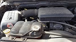 Review Image by John John