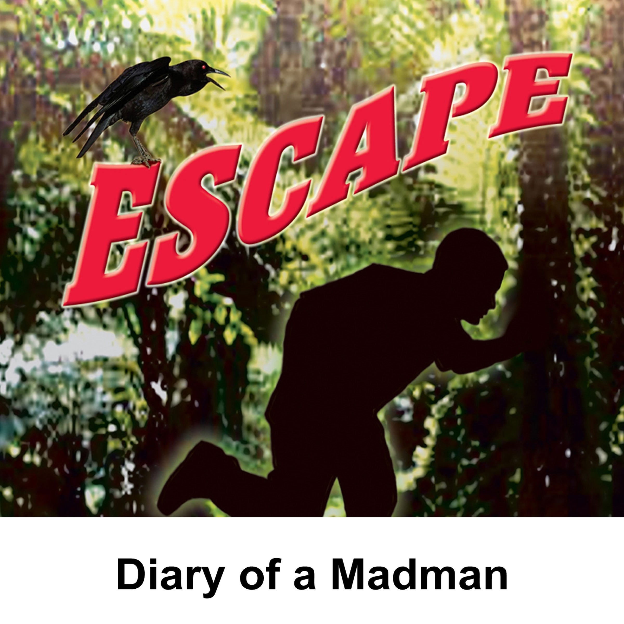 Escape: Diary of a Madman