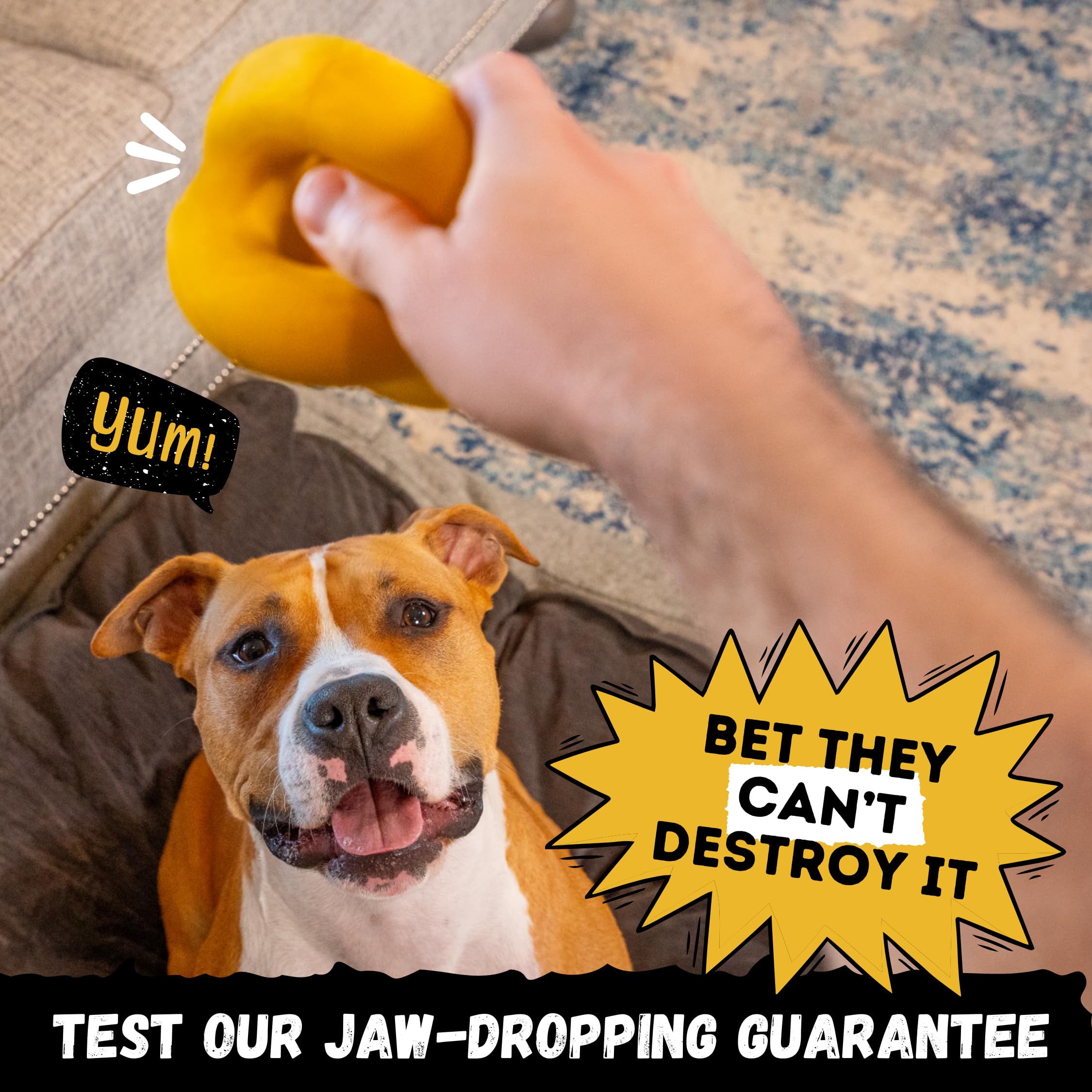 WoofBite Indestructible Ring Ball, Lifetime Replacement, Strong, Tough, Aggressive Chewers, Medium Large Breed - Image 4