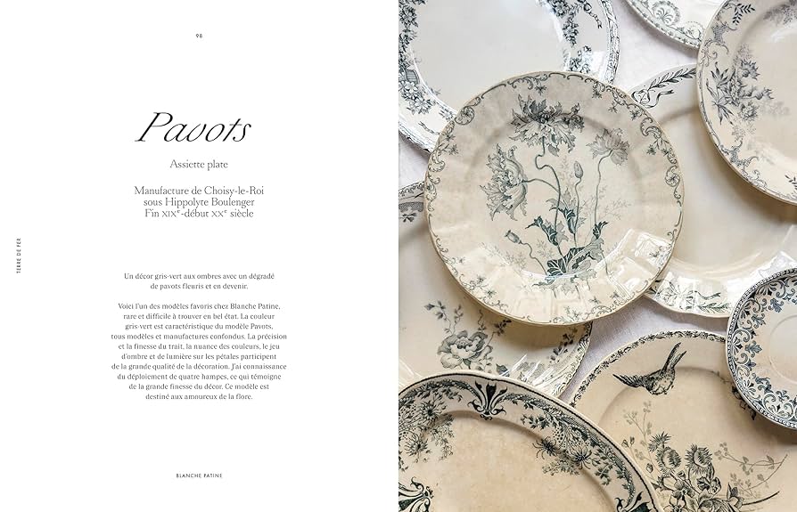 Terre de fer: Collections de céramique française: Amazon.co.uk