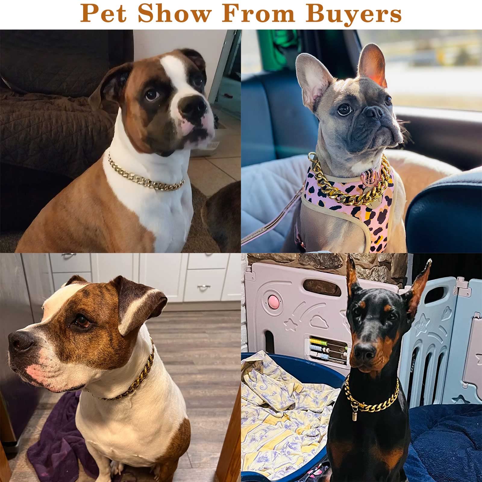 Amazon | ゴールド 犬の首輪(12インチ(9.5インチ~11.5インチの首用