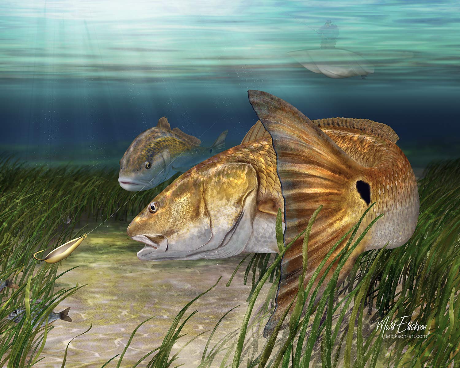 Redfish tail art print. A red drum chases a gold spoon. Redfish gift fishing décor, fishing wall art gift for a red drum fisherman!