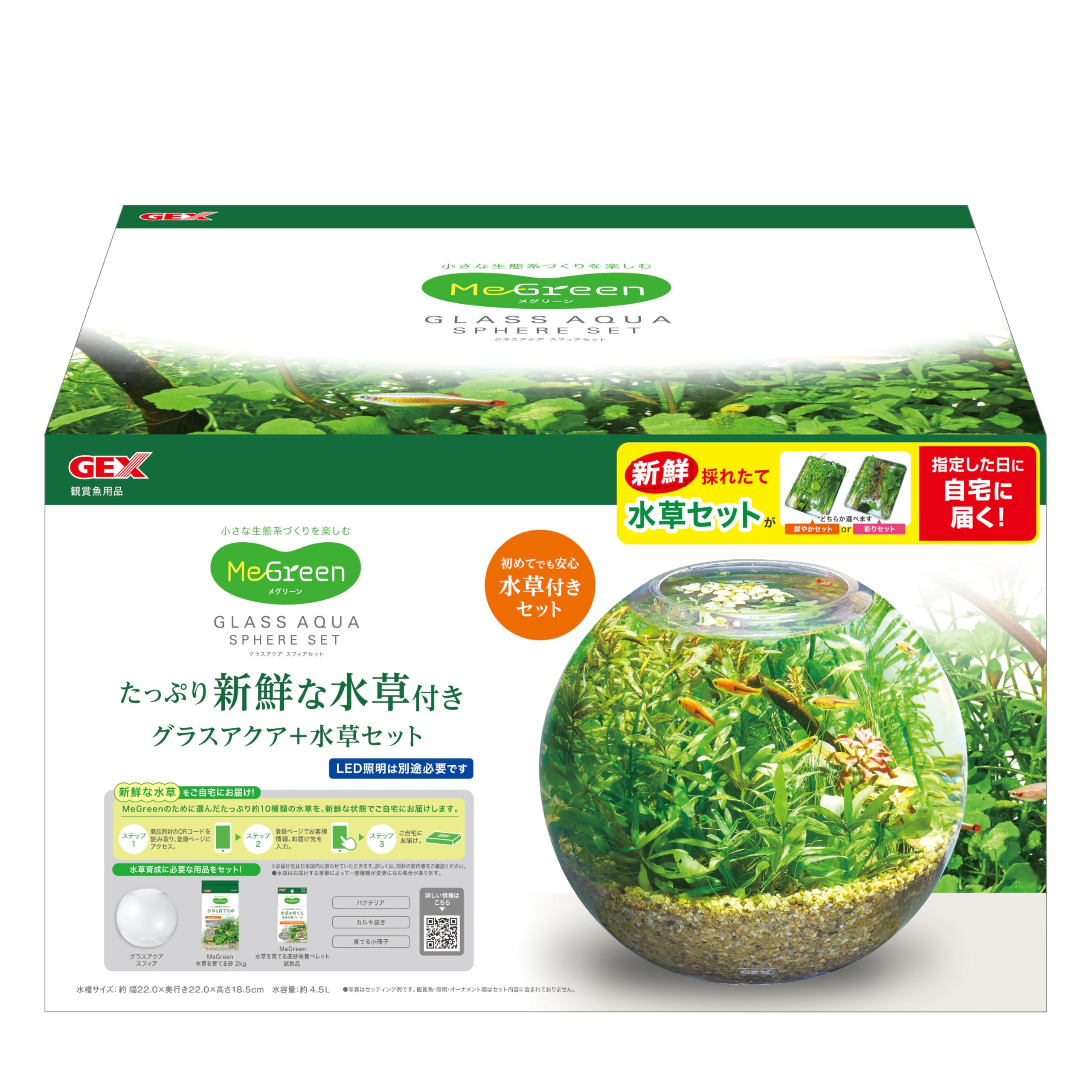Nail　水草セット Amazon.co.jp: ジェックス MeGreen 新鮮な水草付き グラスアクア
