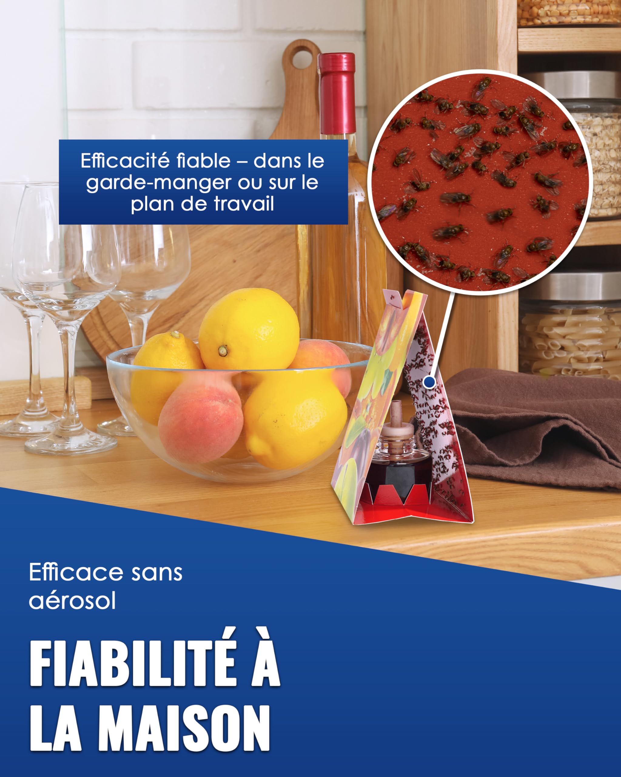 Piège à Mouches Des Fruits Intérieur Réutilisable – Aeroxon Piège Cuisine Efficace Sans Produit Chimique, Entonnoir Attractif